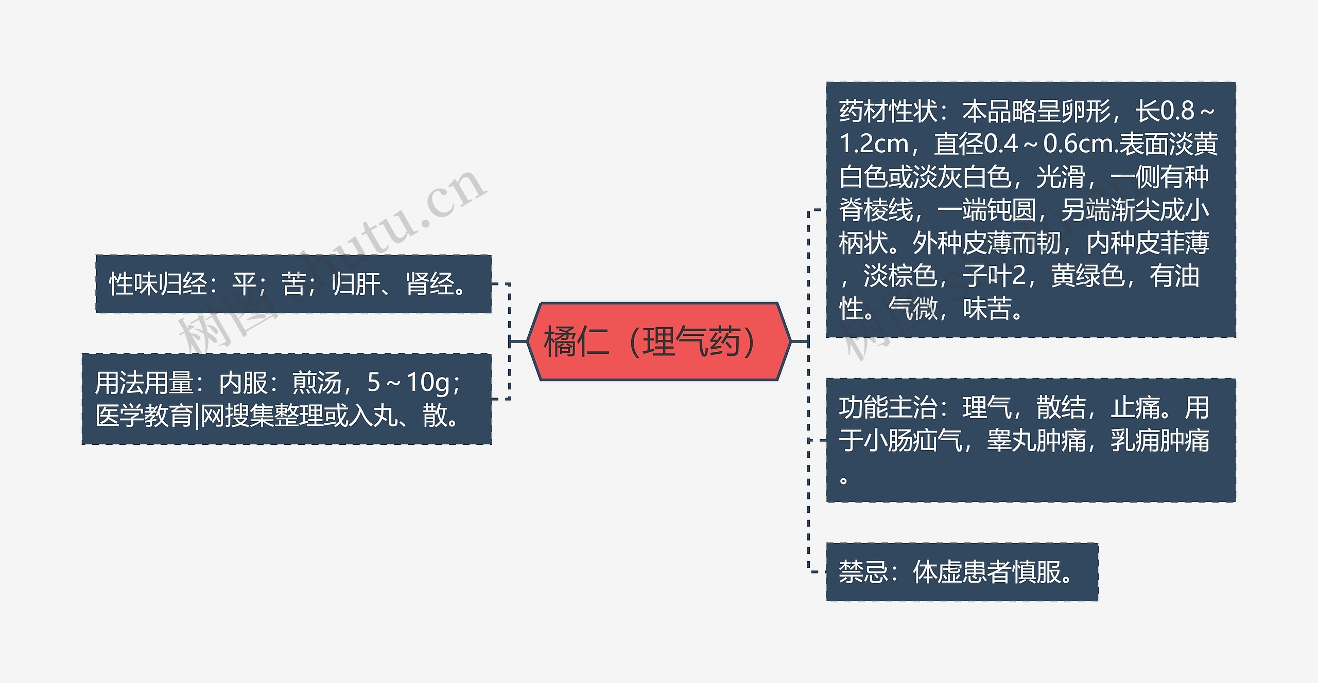 橘仁（理气药）思维导图