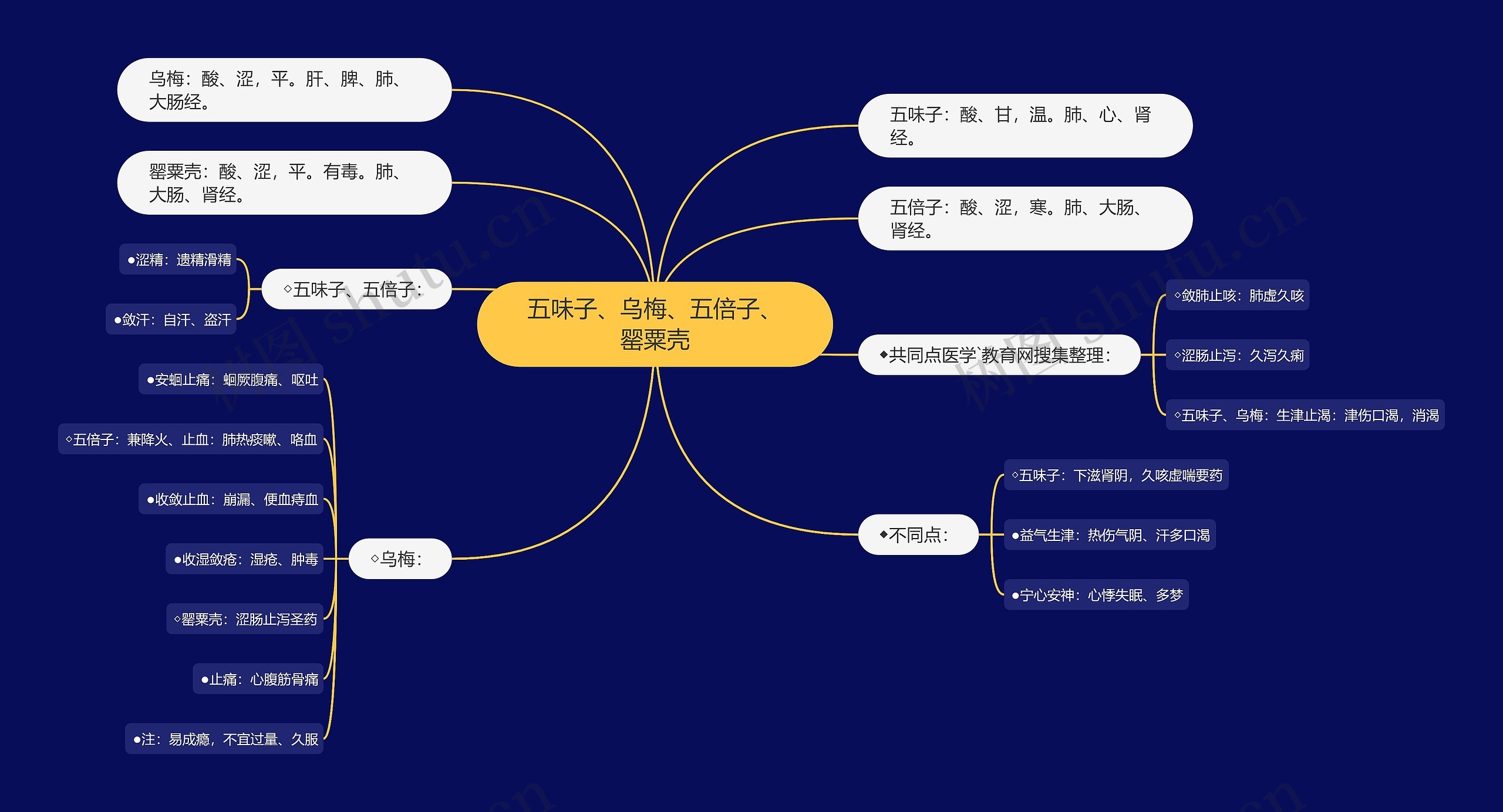 五味子、乌梅、五倍子、罂粟壳思维导图