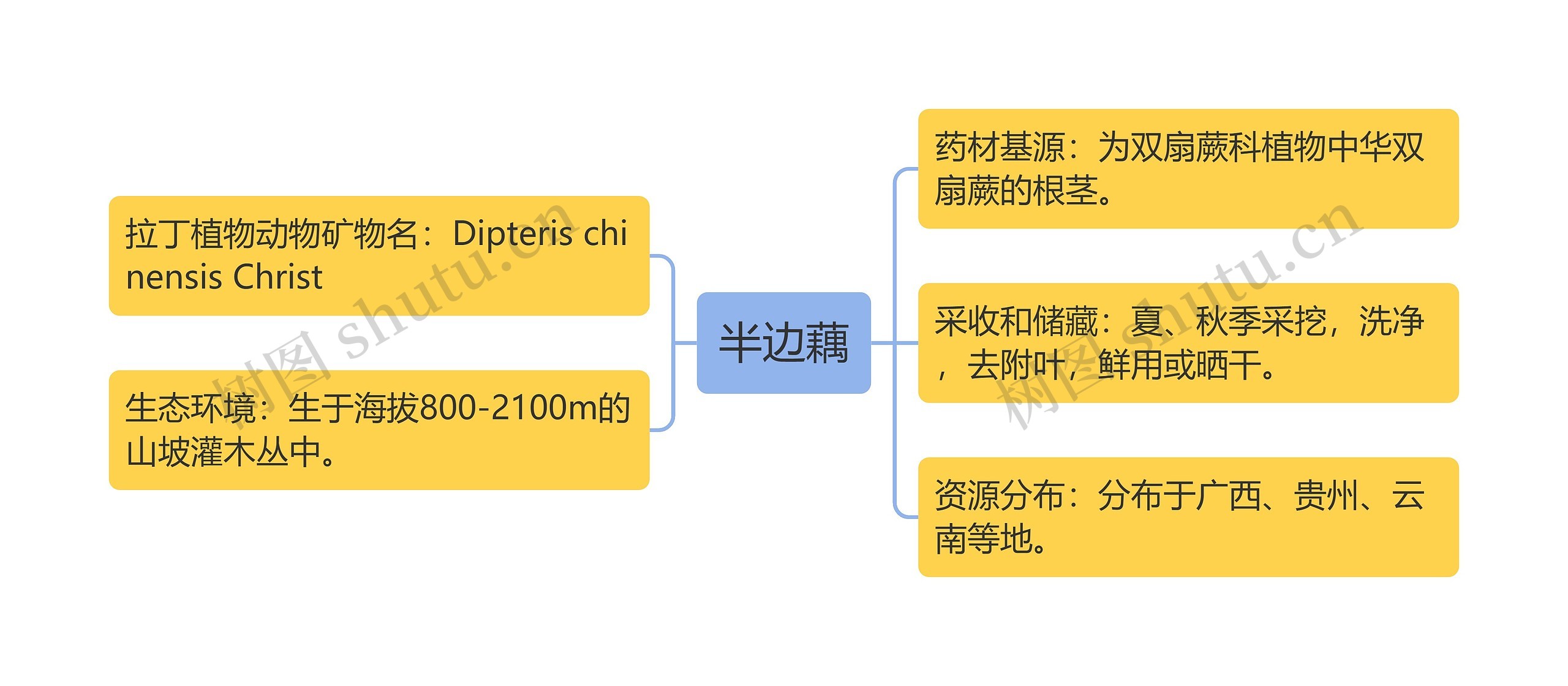 半边藕思维导图