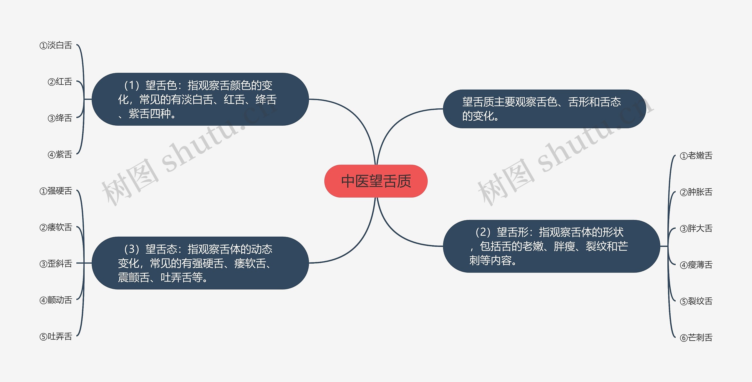 中医望舌质思维导图