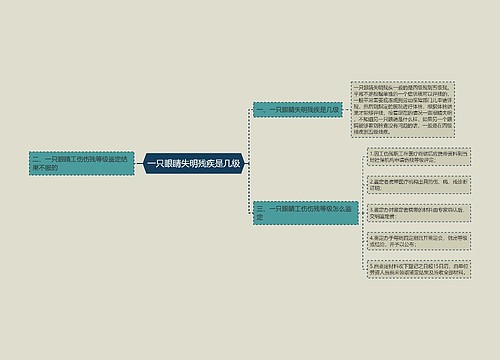 一只眼睛失明残疾是几级