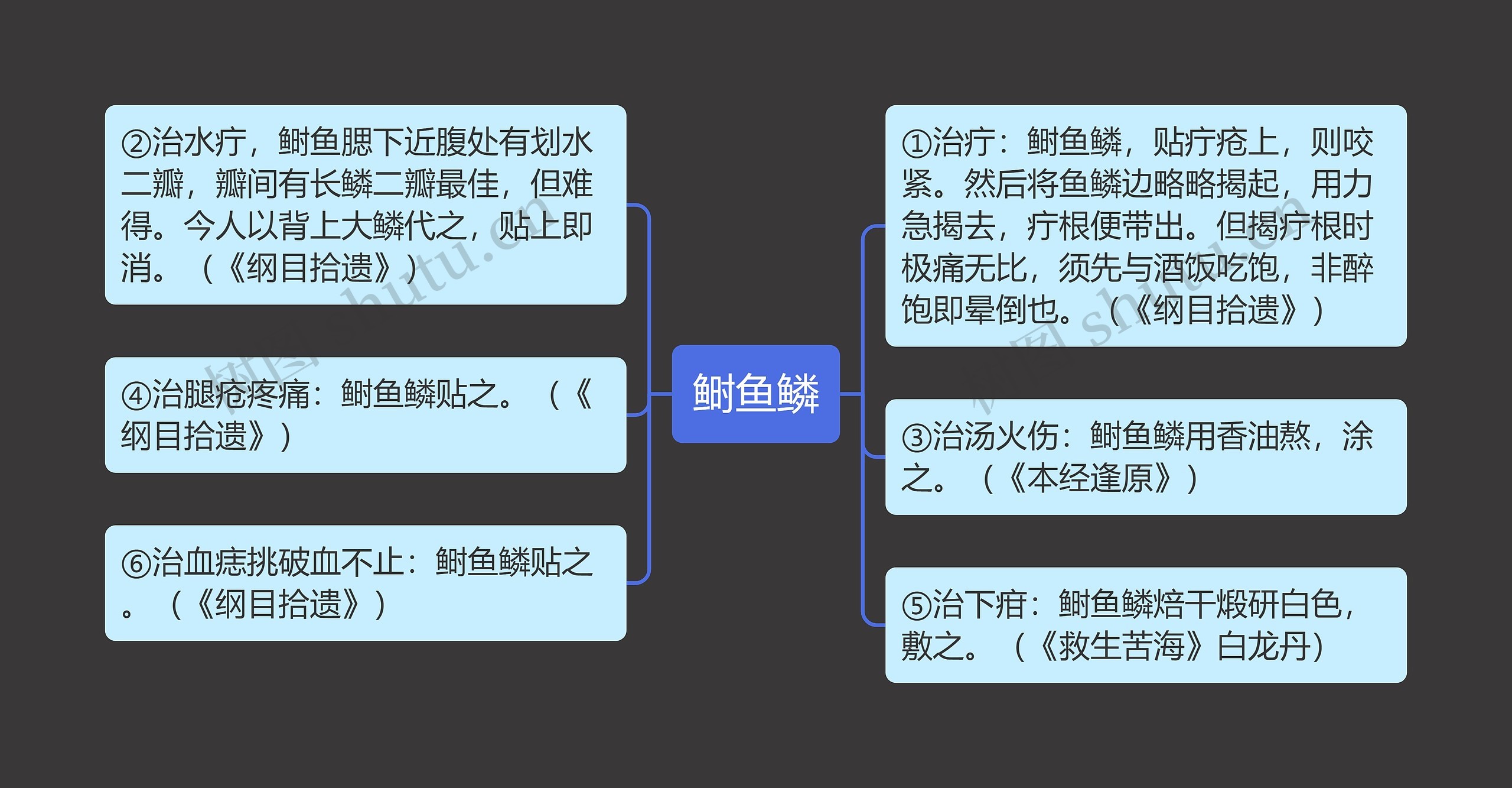 鲥鱼鳞思维导图