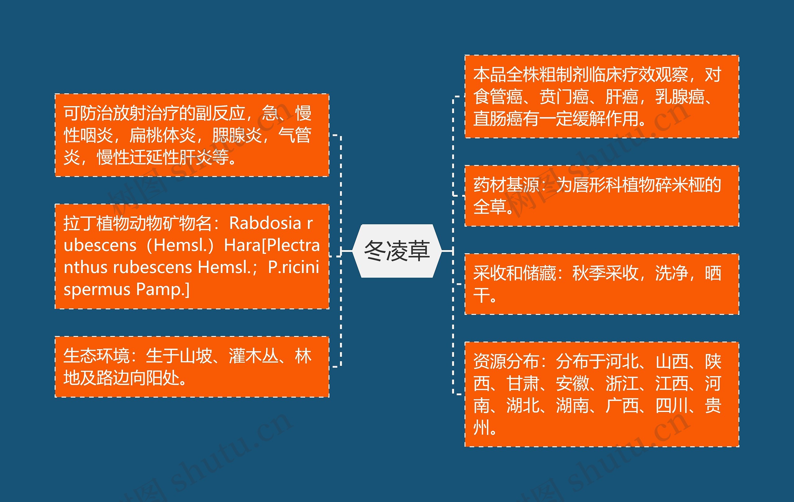 冬凌草思维导图