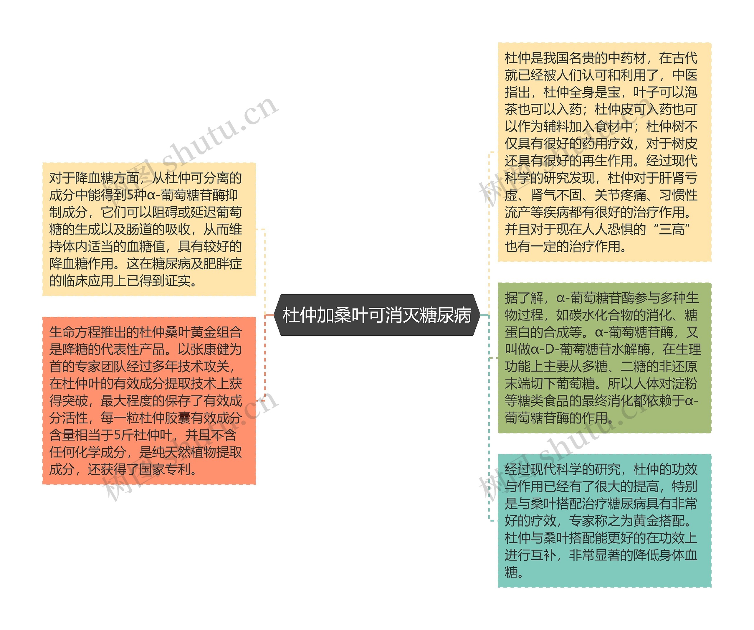 杜仲加桑叶可消灭糖尿病思维导图