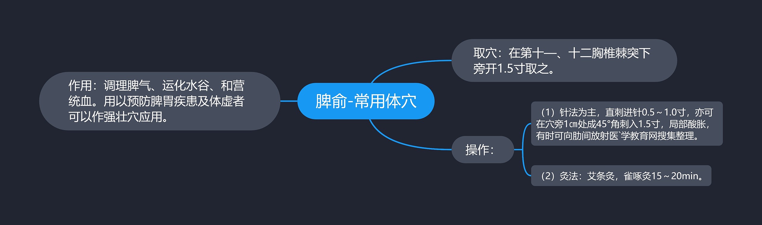 脾俞-常用体穴 脾俞-常用体穴