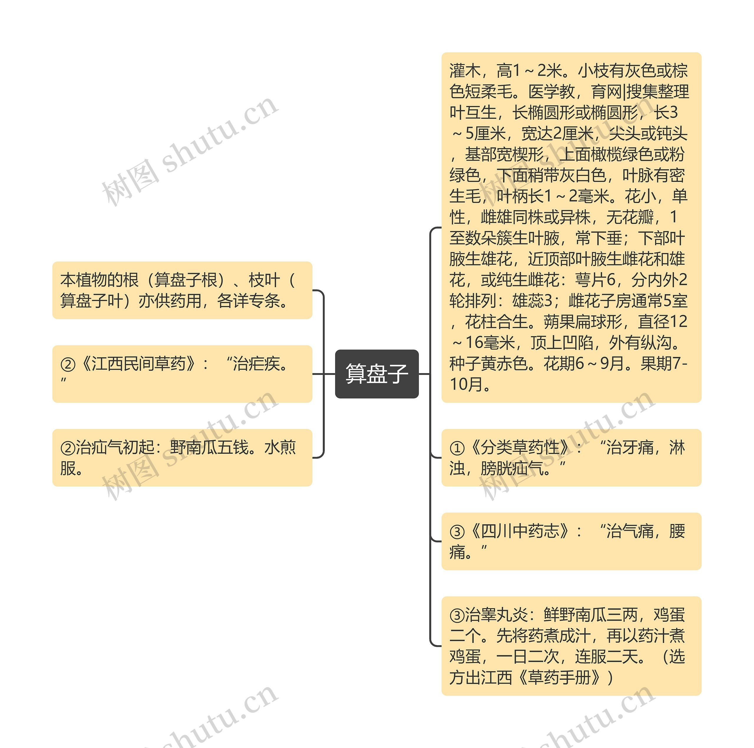 算盘子思维导图