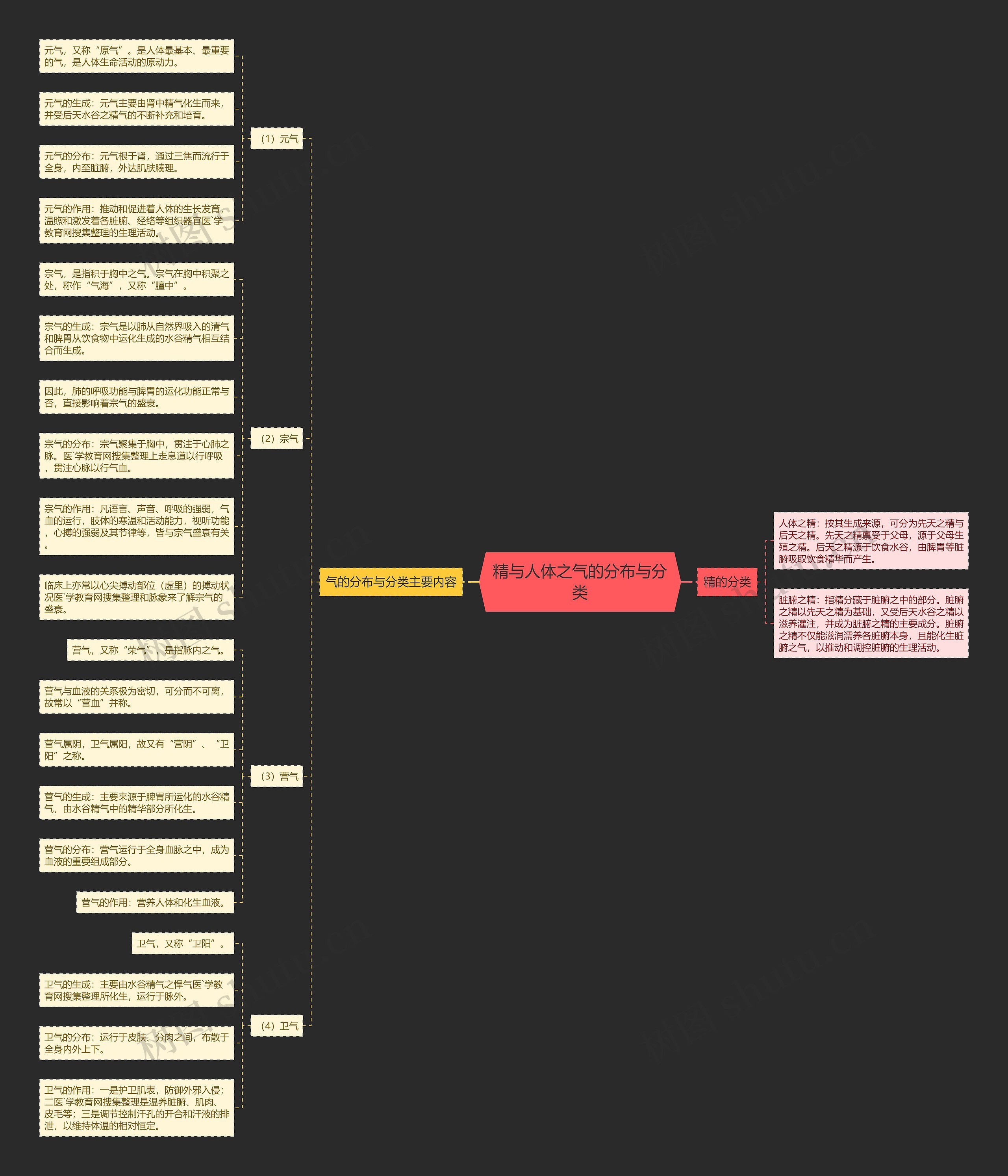 精与人体之气的分布与分类思维导图