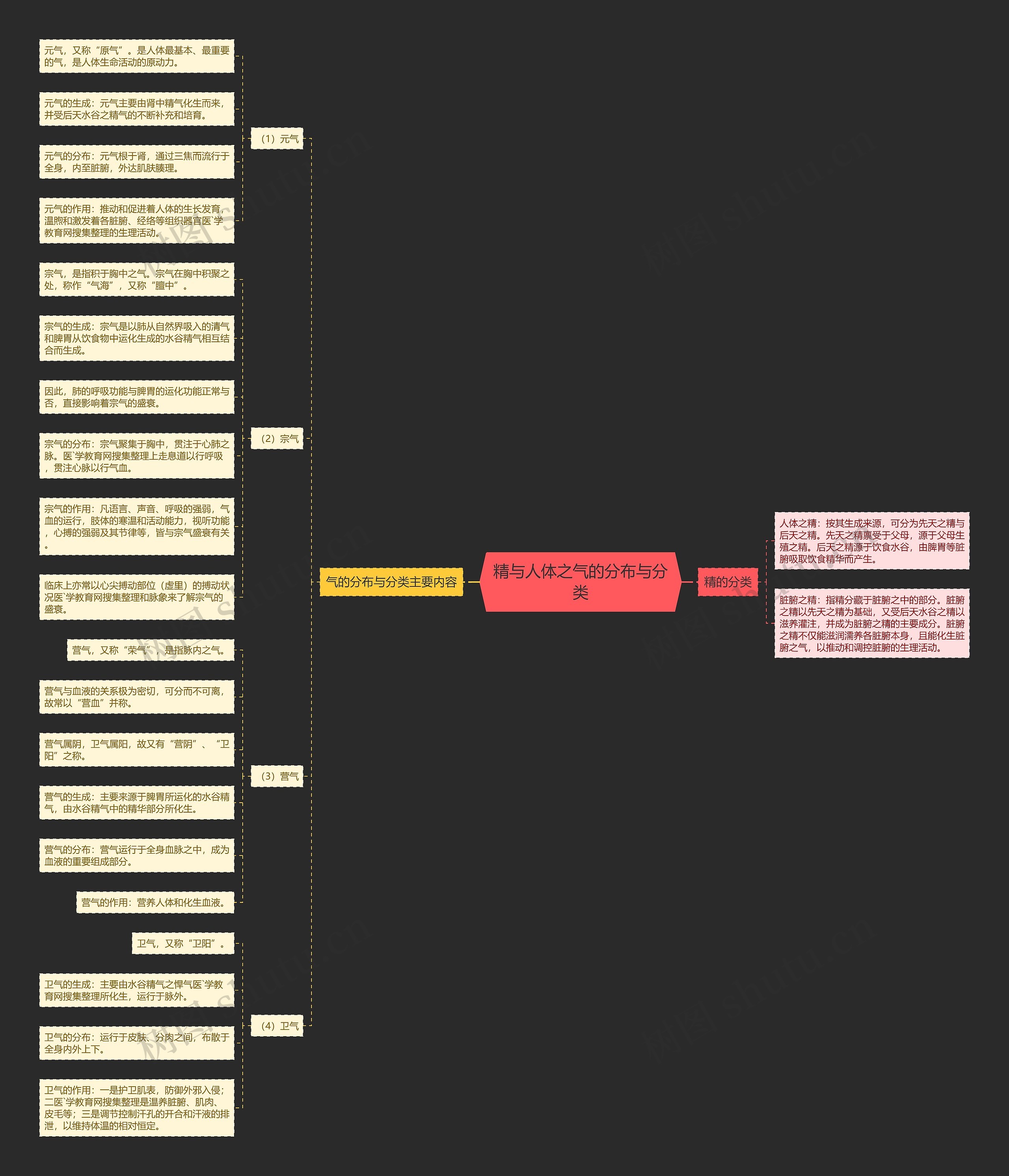 精与人体之气的分布与分类 精与人体之气的分布与分类