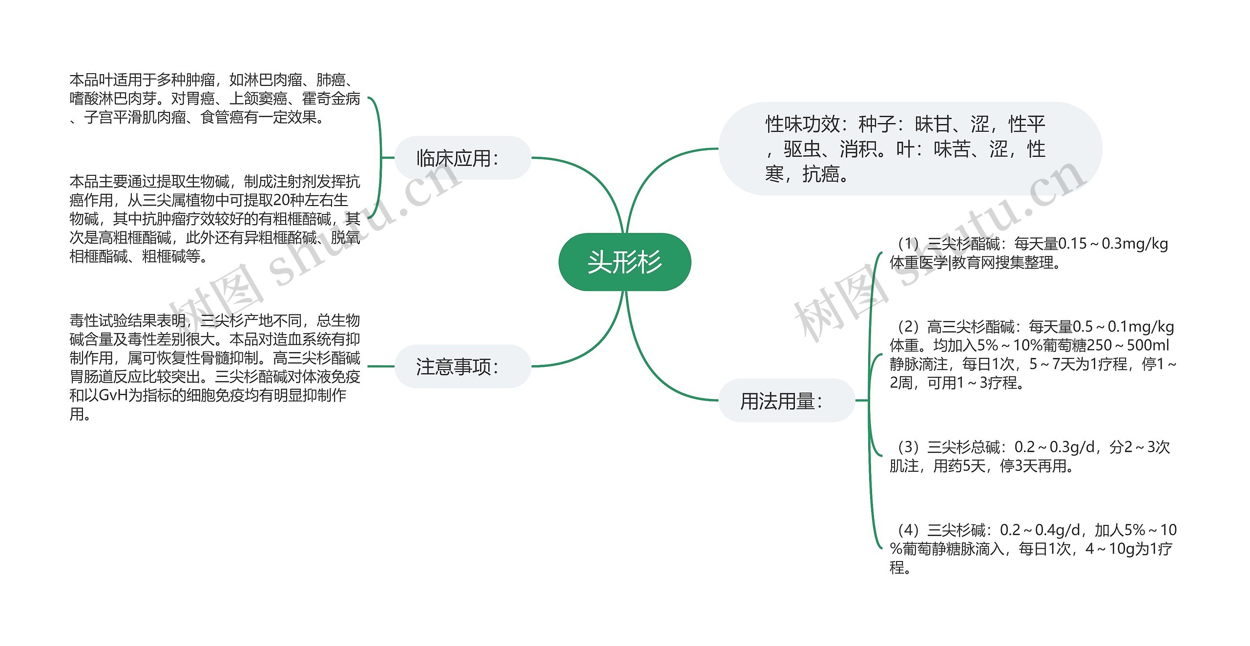 头形杉思维导图