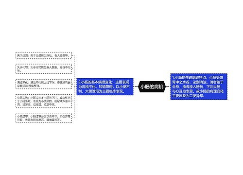 小肠的病机