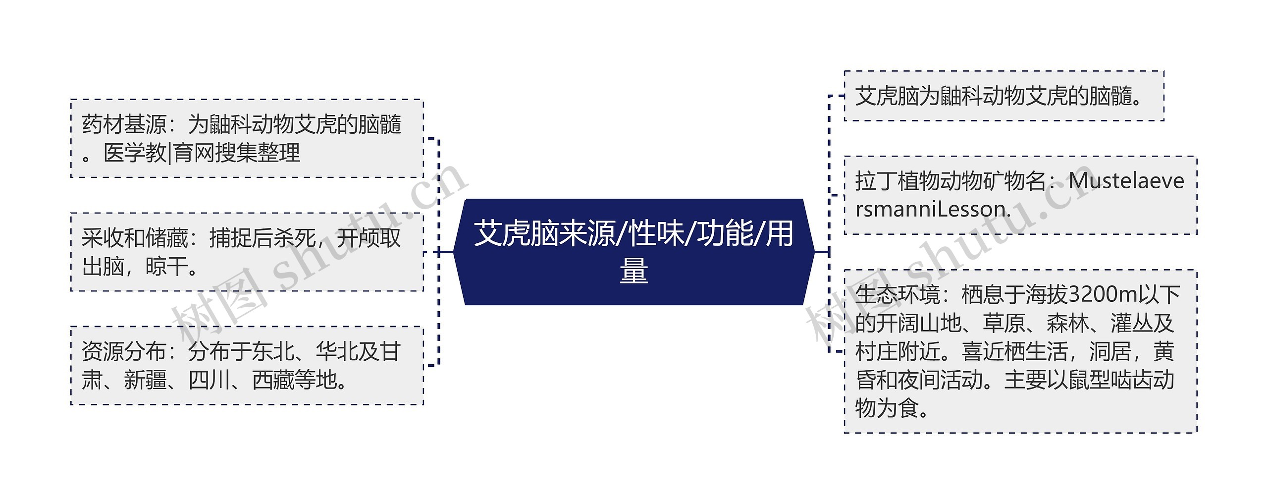 艾虎脑来源/性味/功能/用量思维导图