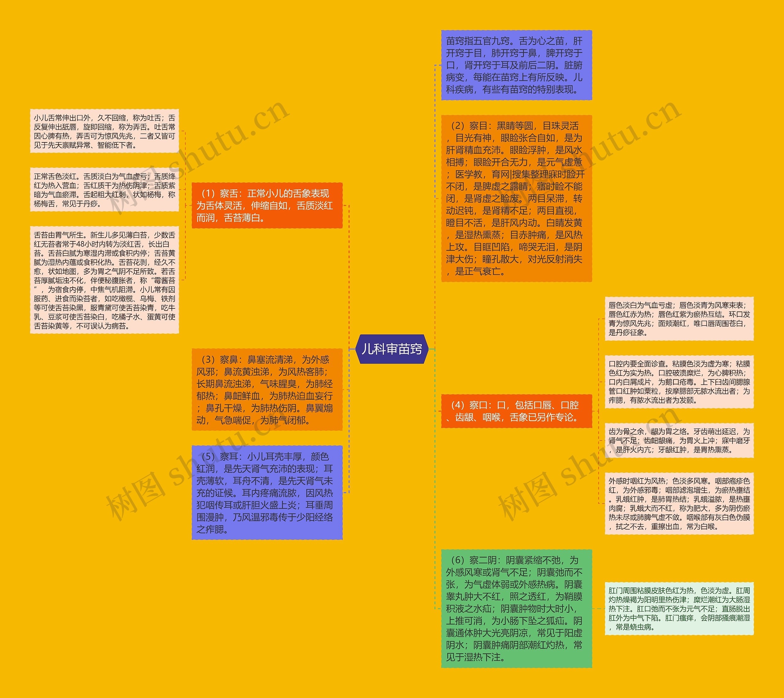 儿科审苗窍思维导图