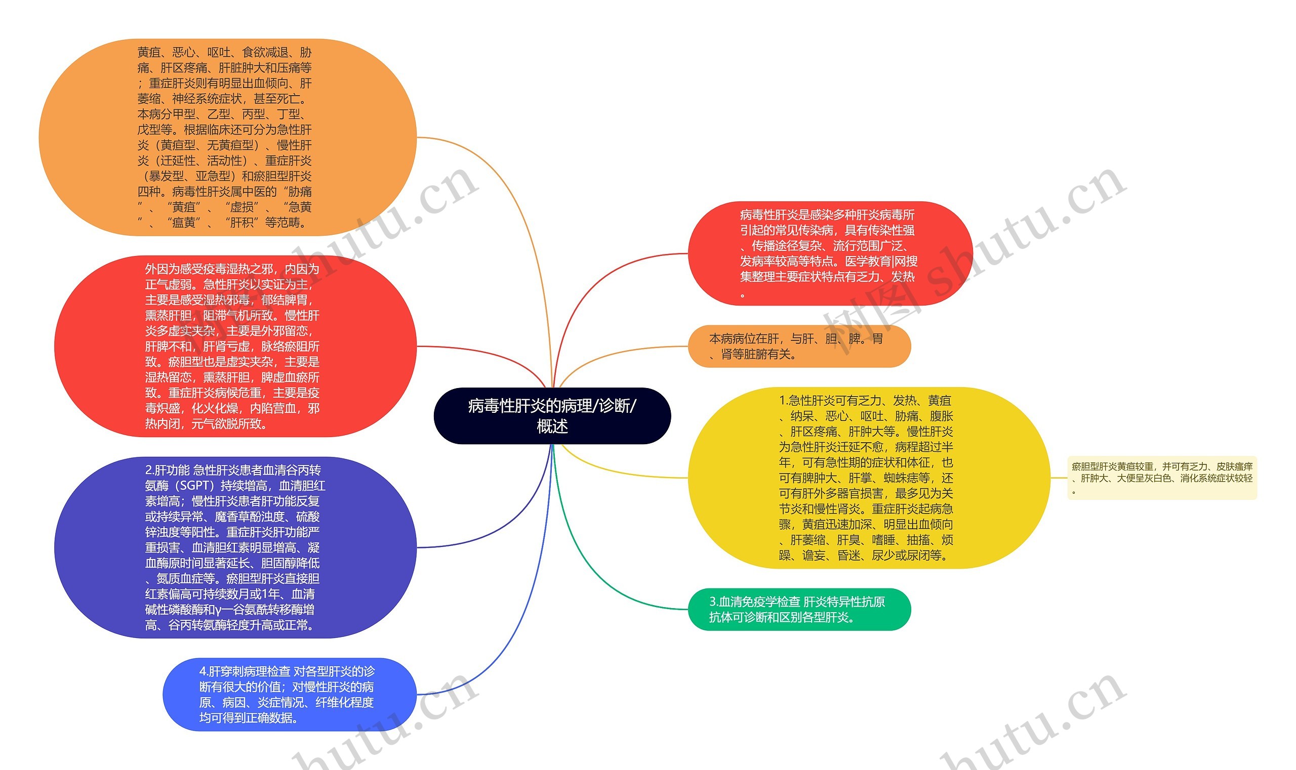 病毒性肝炎的病理/诊断/概述思维导图