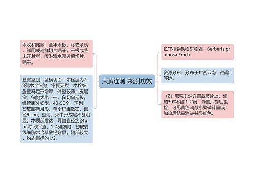 大黄连刺|来源|功效