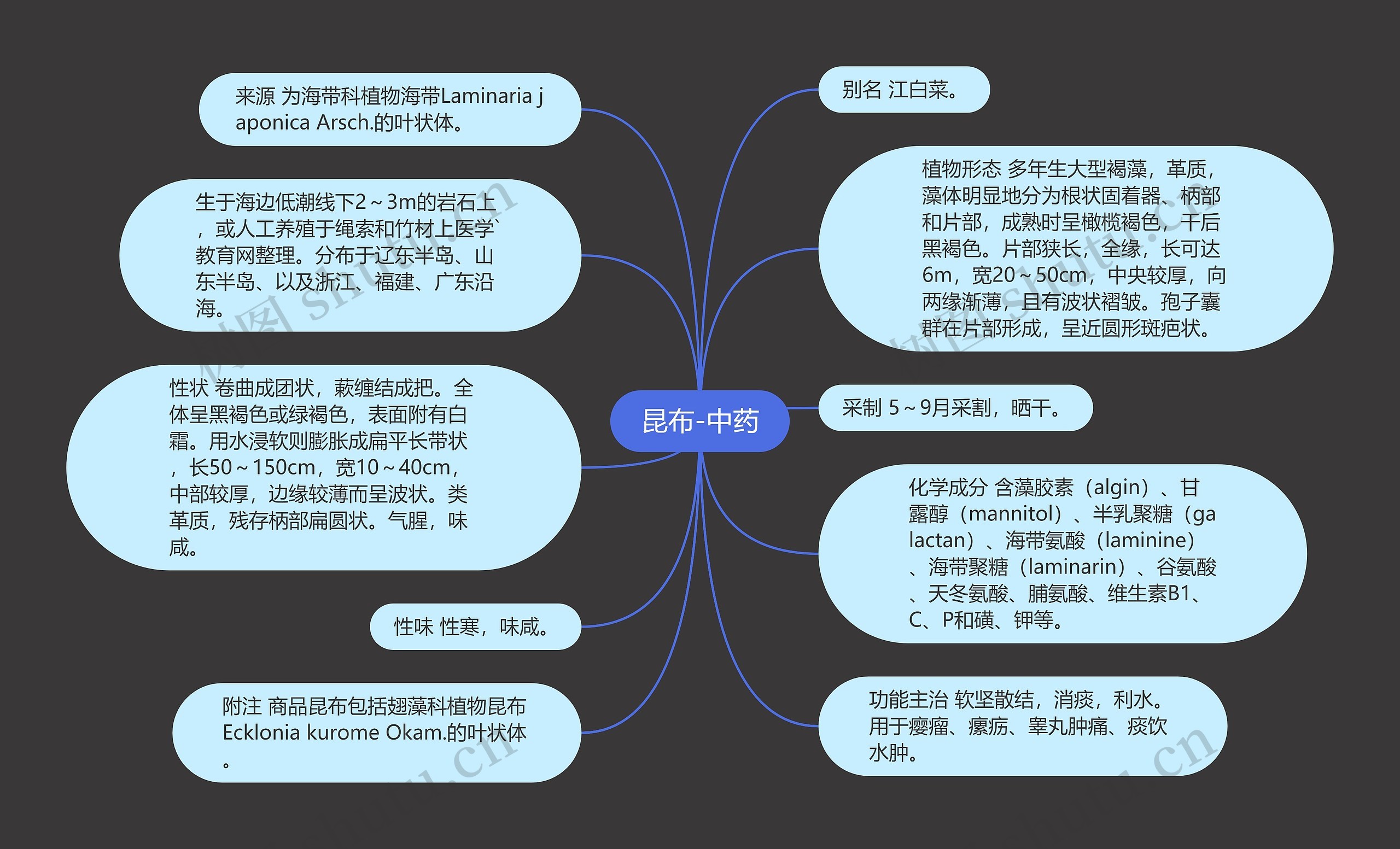 昆布-中药 昆布-中药