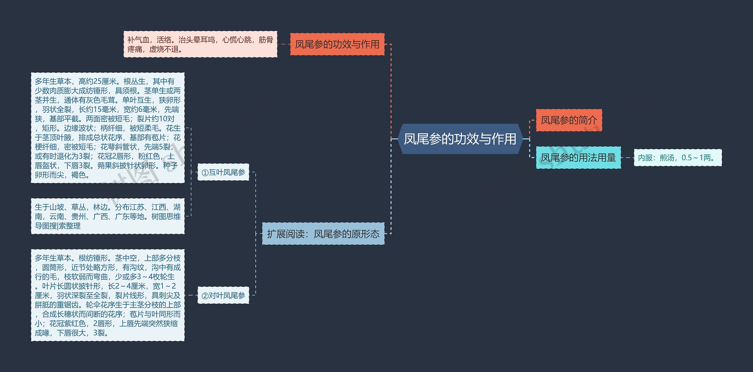 凤尾参的功效与作用思维导图