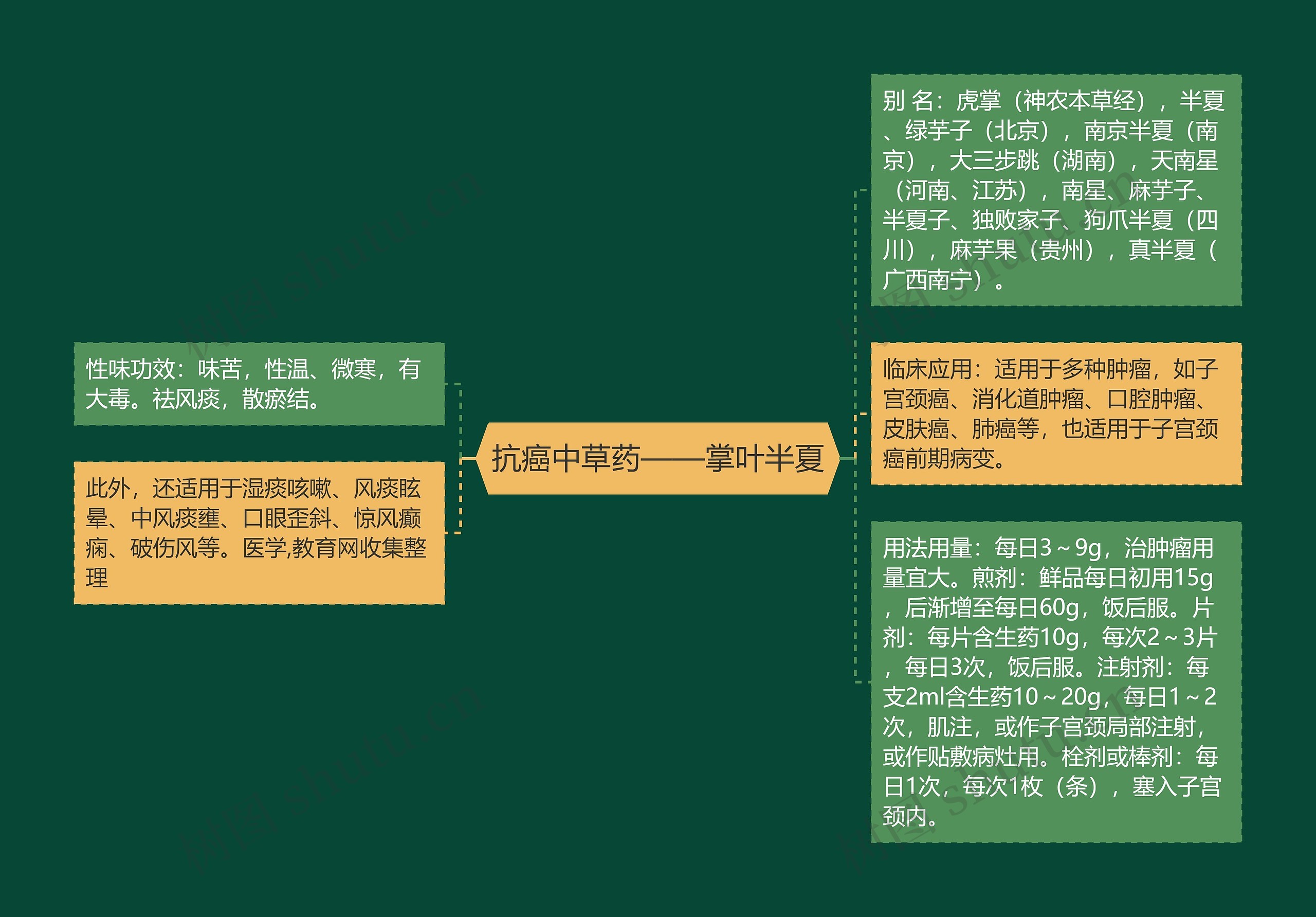 抗癌中草药——掌叶半夏 抗癌中草药——掌叶半夏