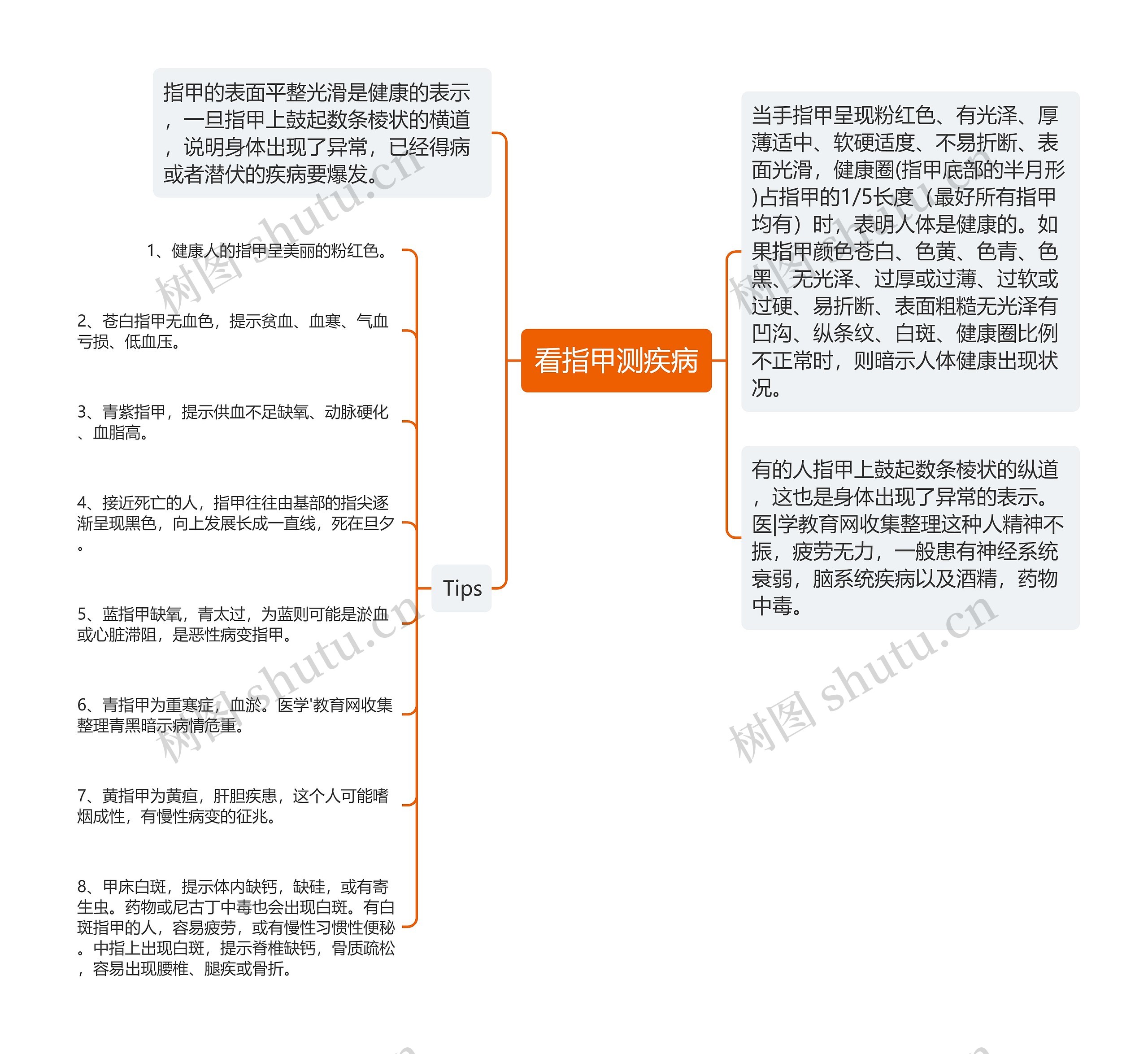 看指甲测疾病思维导图