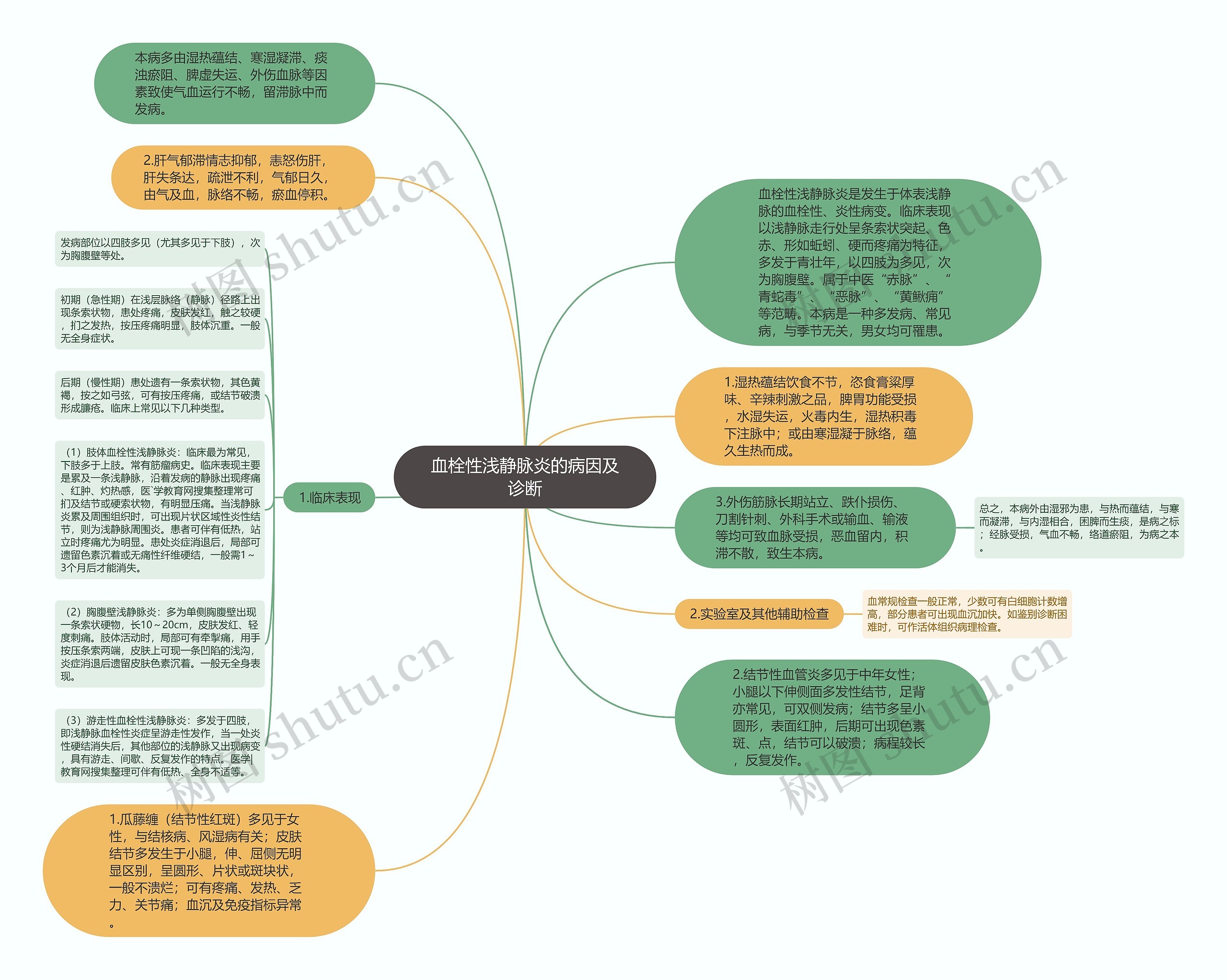 血栓性浅静脉炎的病因及诊断