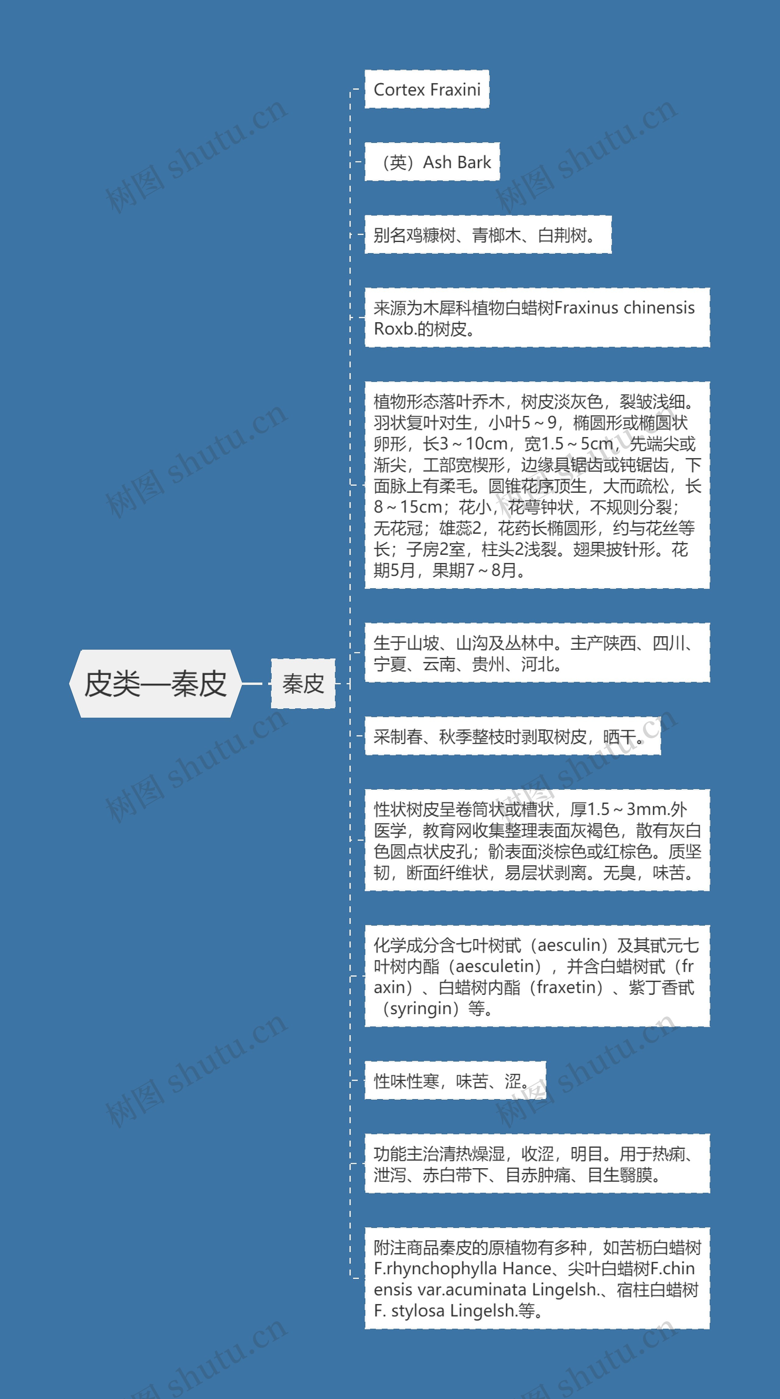 皮类—秦皮