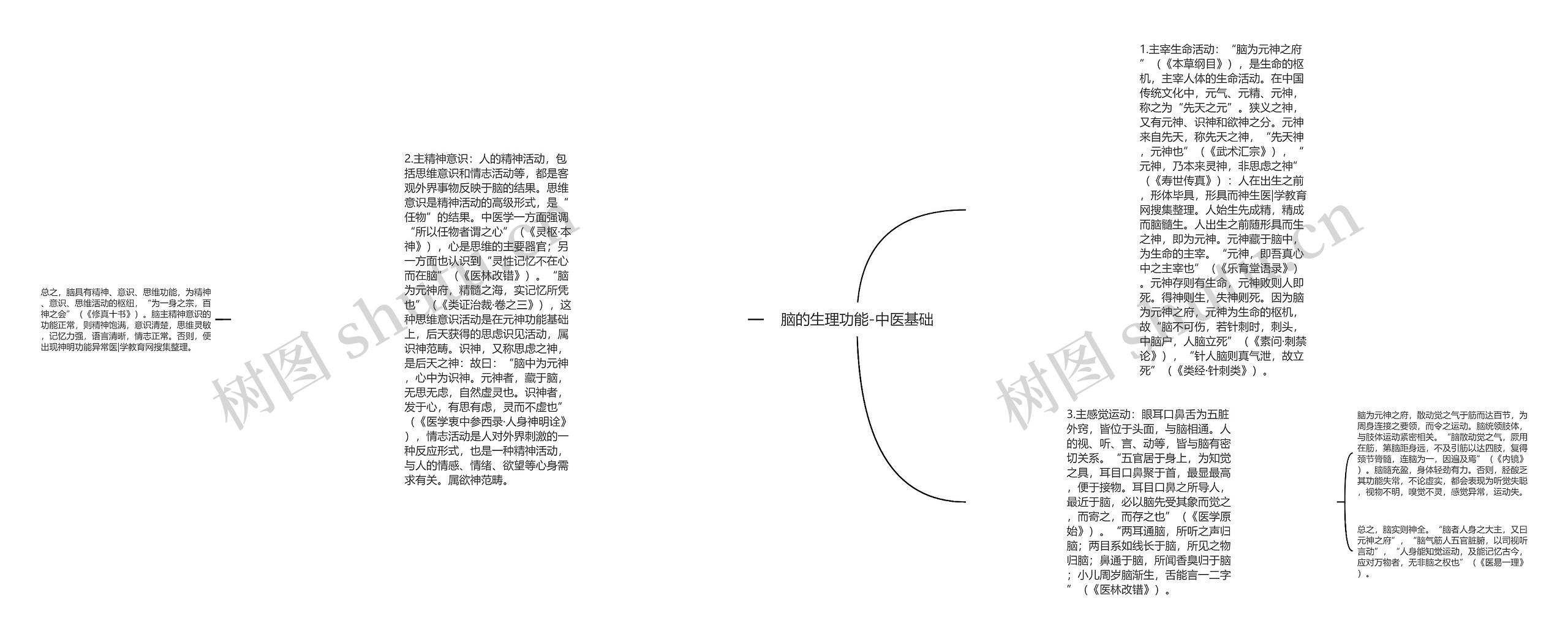 脑的生理功能-中医基础思维导图