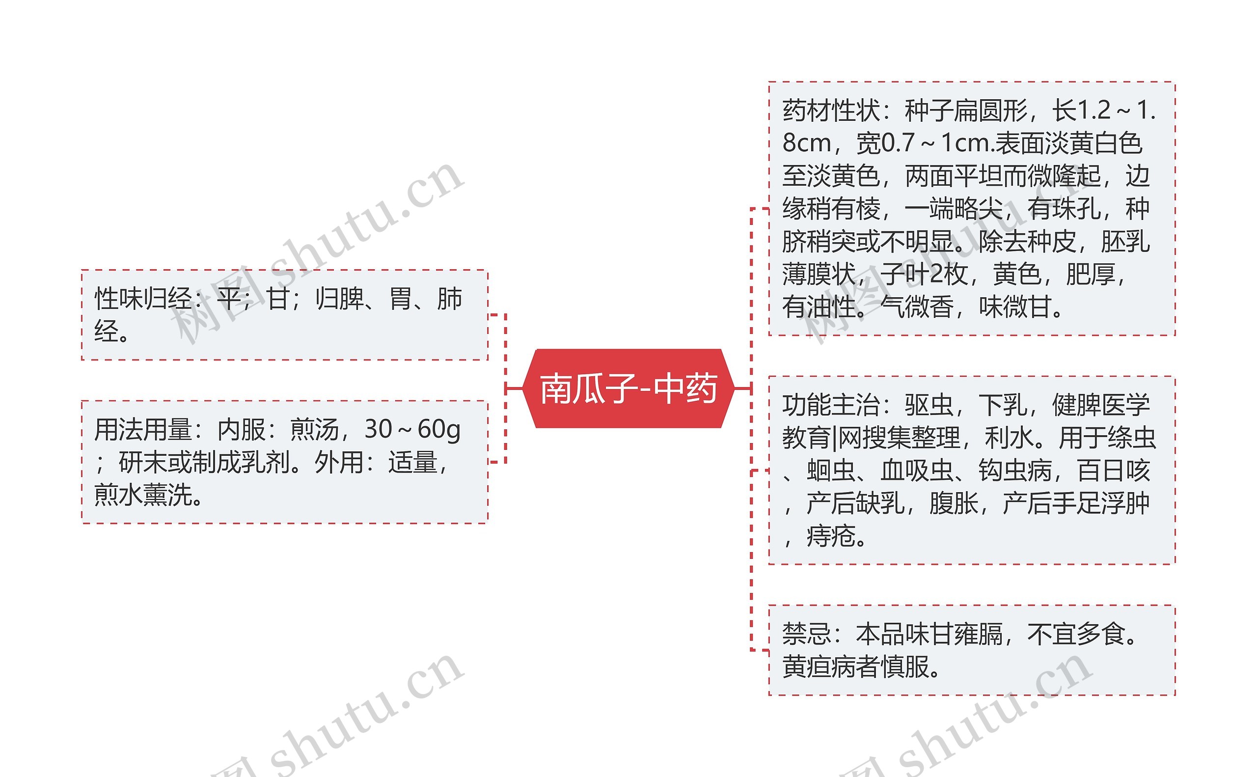 南瓜子-中药思维导图
