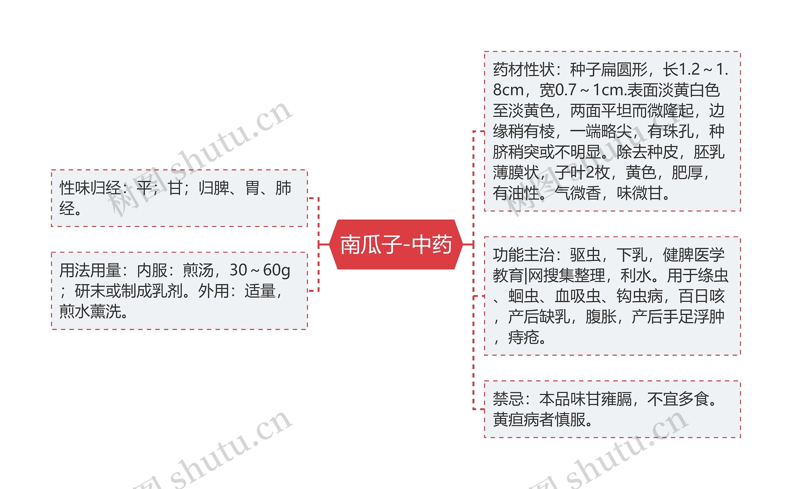 南瓜子-中药 南瓜子-中药