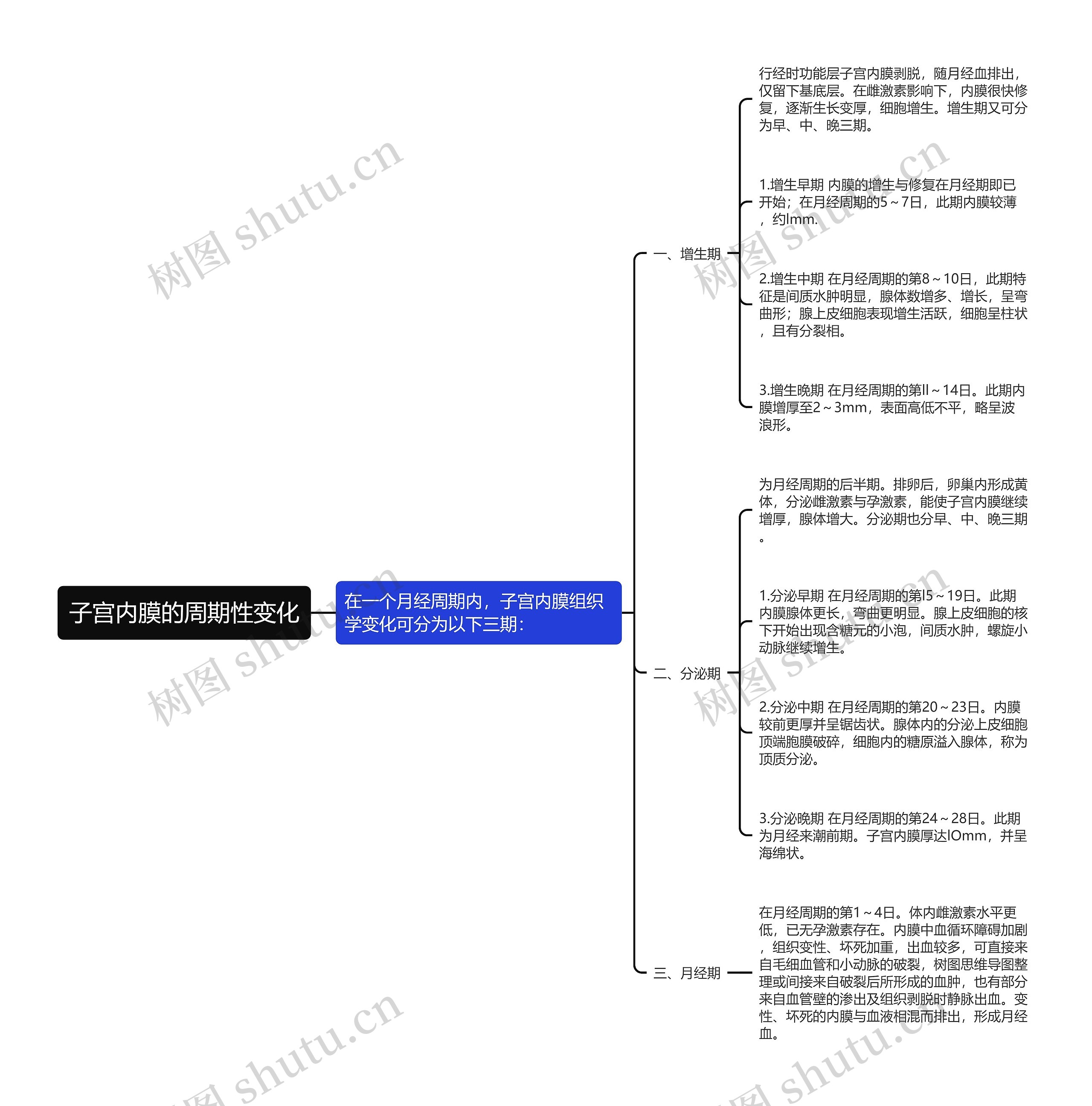 子宫内膜的周期性变化思维导图