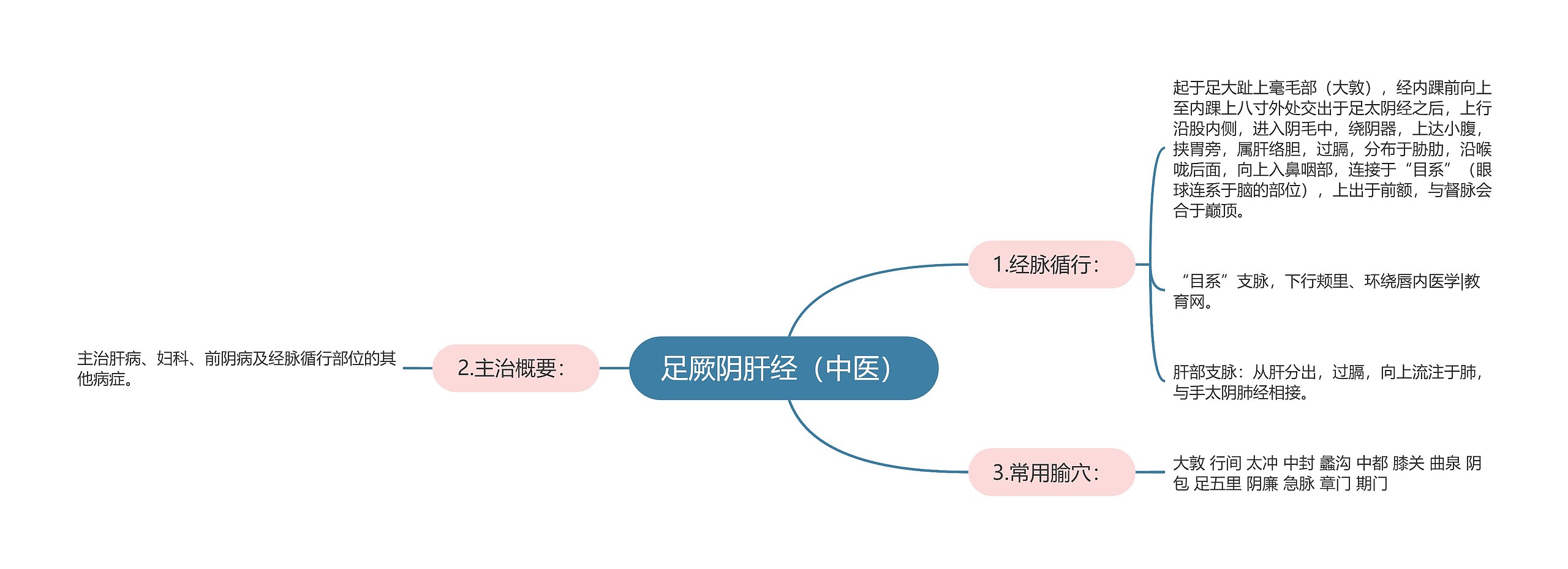 足厥阴肝经（中医）思维导图