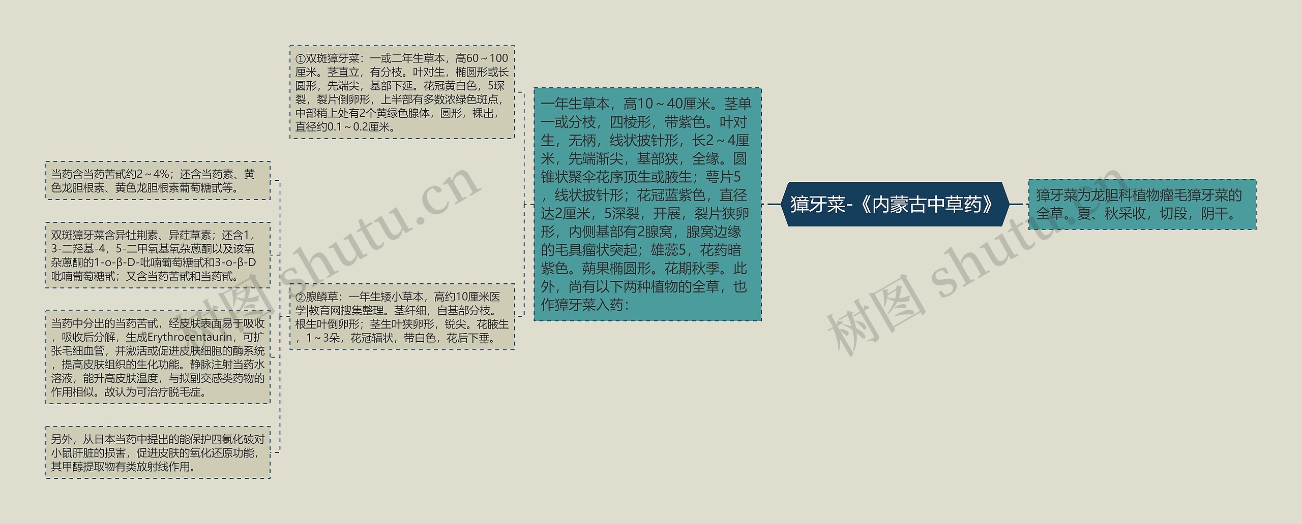 獐牙菜-《内蒙古中草药》 獐牙菜-《内蒙古中草药》