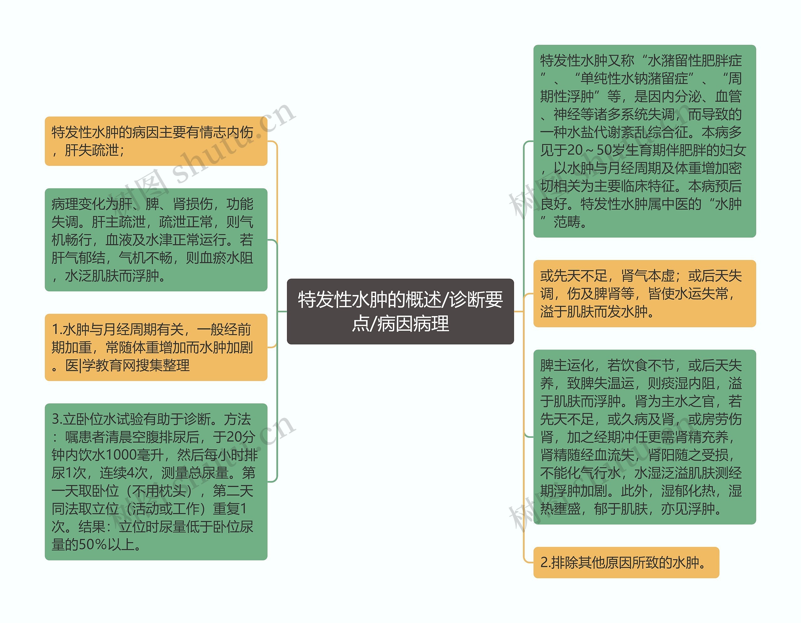 特发性水肿的概述/诊断要点/病因病理思维导图