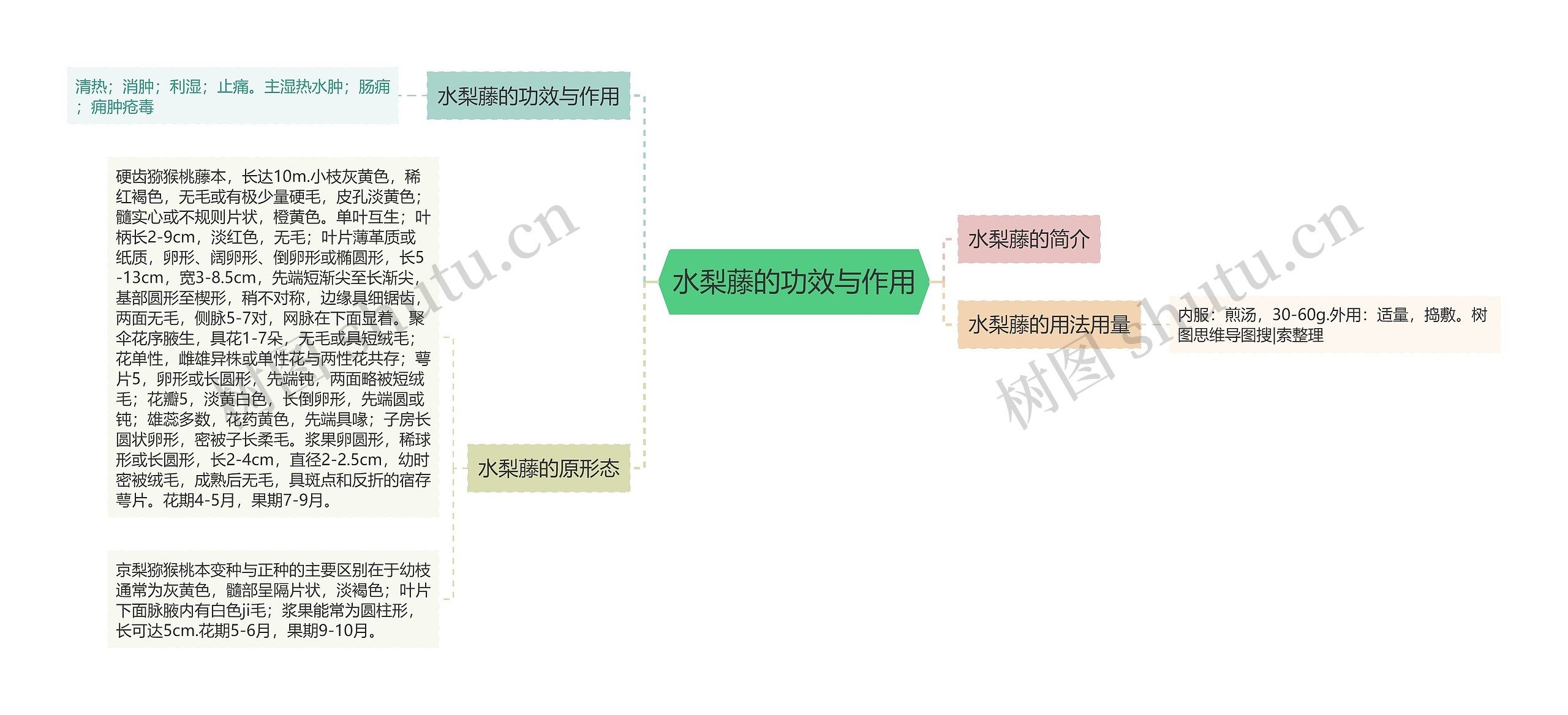 水梨藤的功效与作用