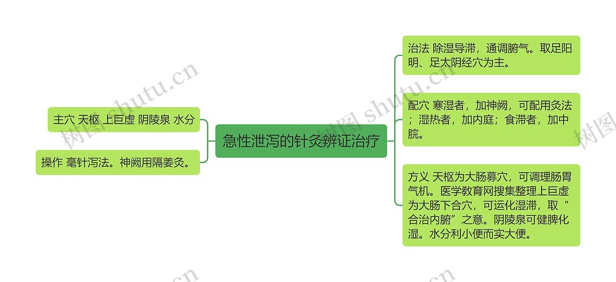急性泄泻的针灸辨证治疗思维导图_编号p7010667-TreeMind树图