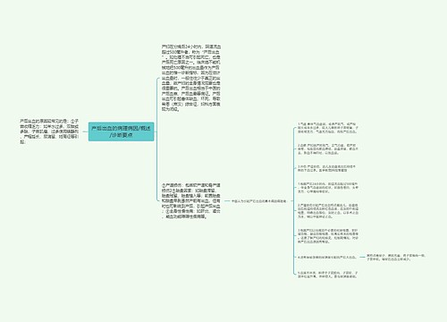 产后出血的病理病因/概述/诊断要点