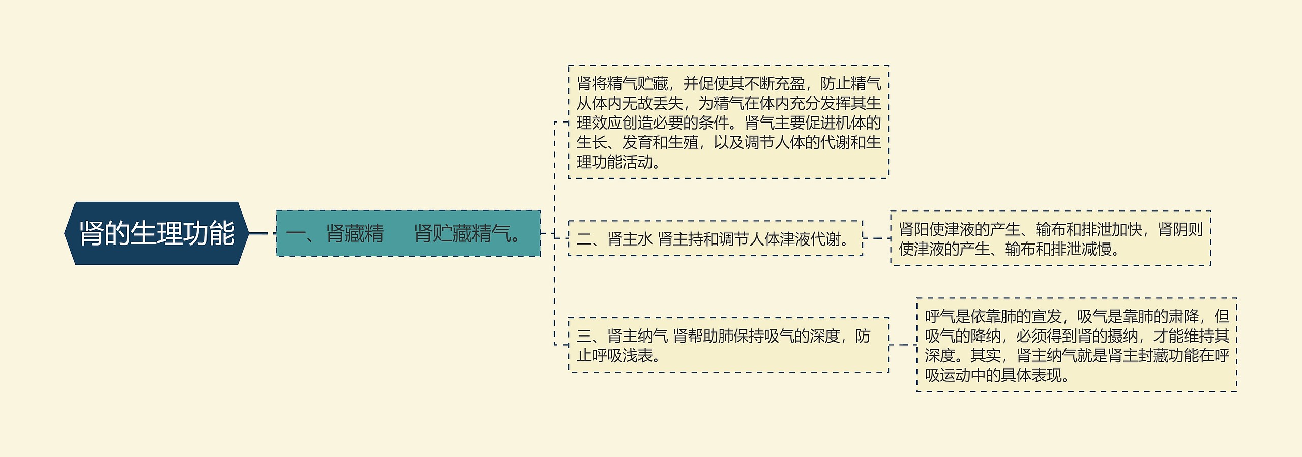 肾的生理功能 肾的生理功能