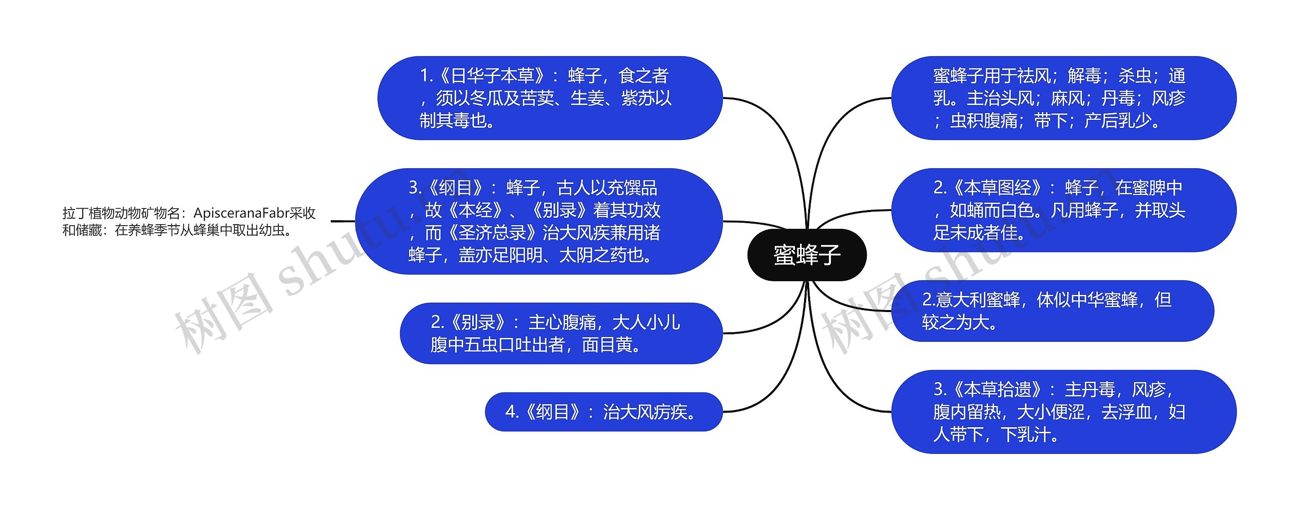 蜜蜂子思维导图