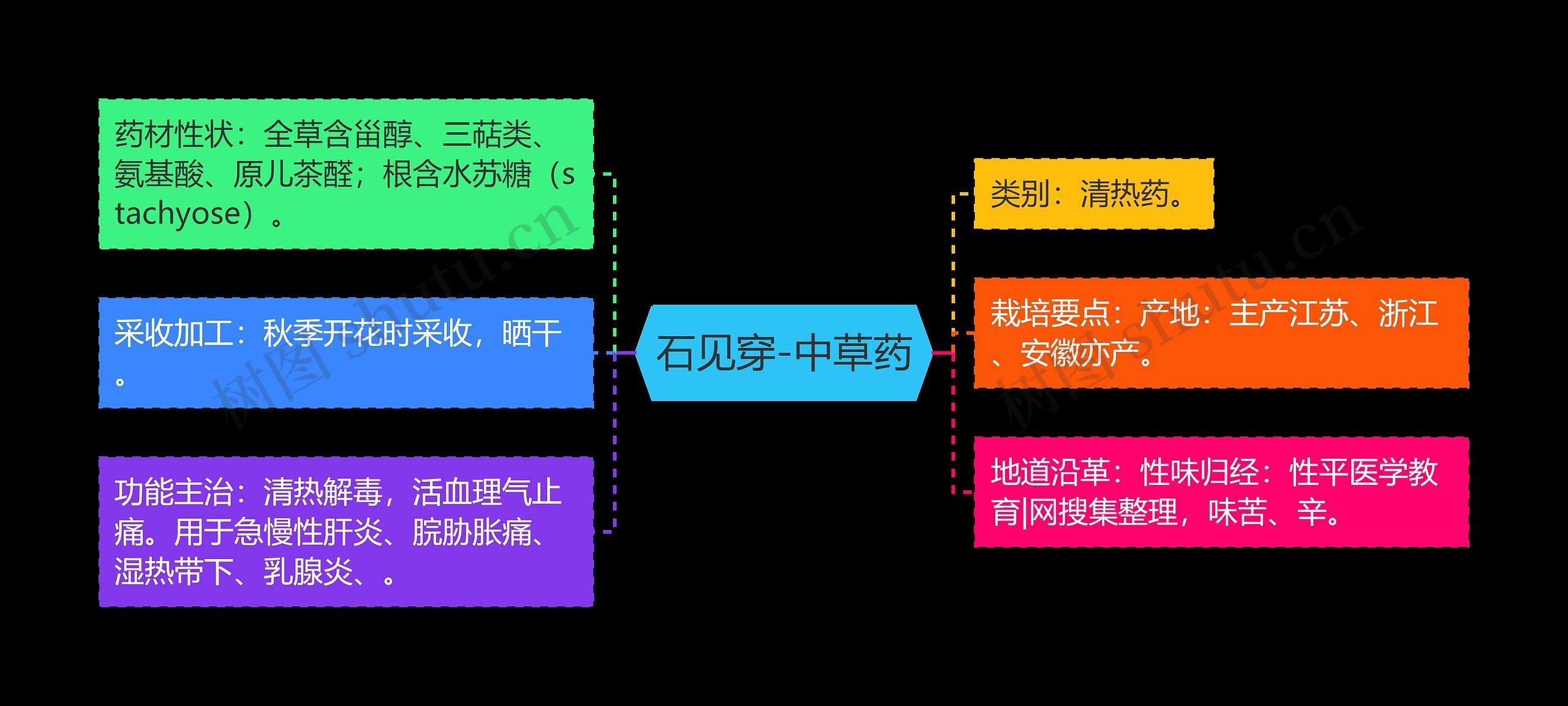 石见穿-中草药思维导图