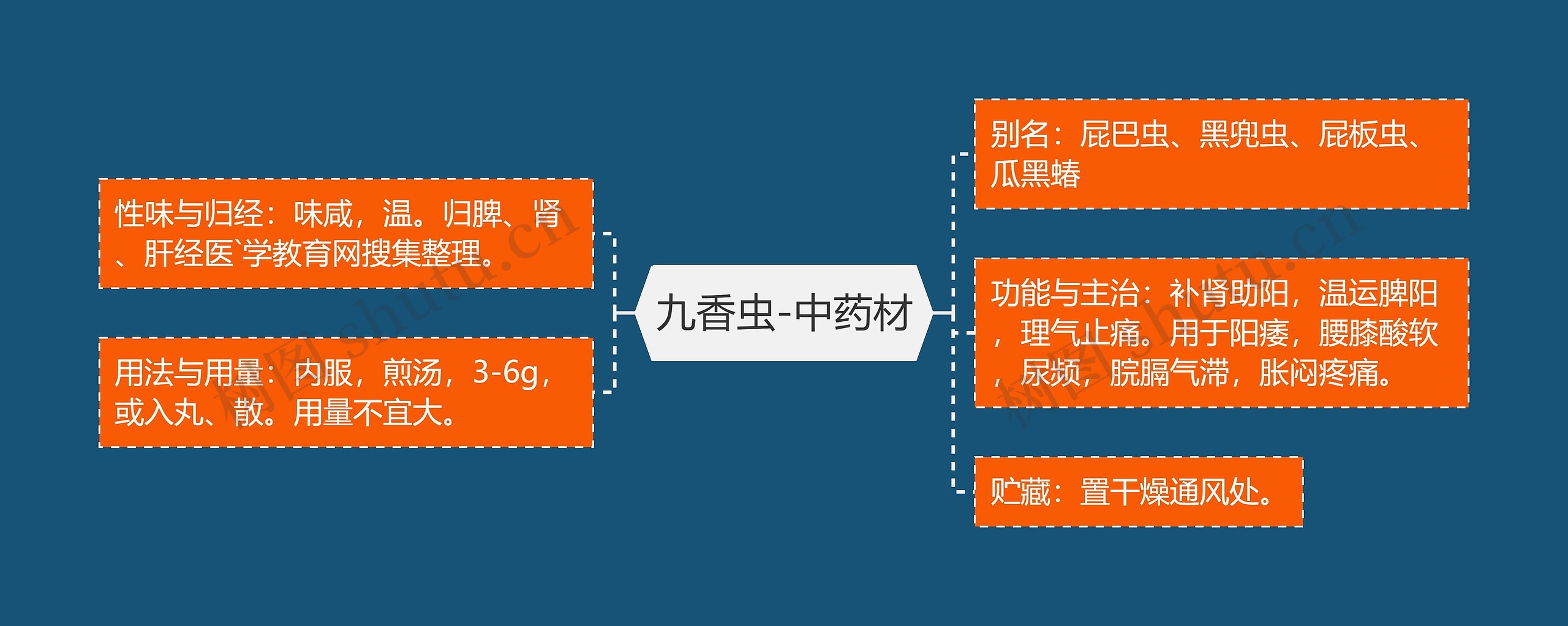 九香虫-中药材思维导图