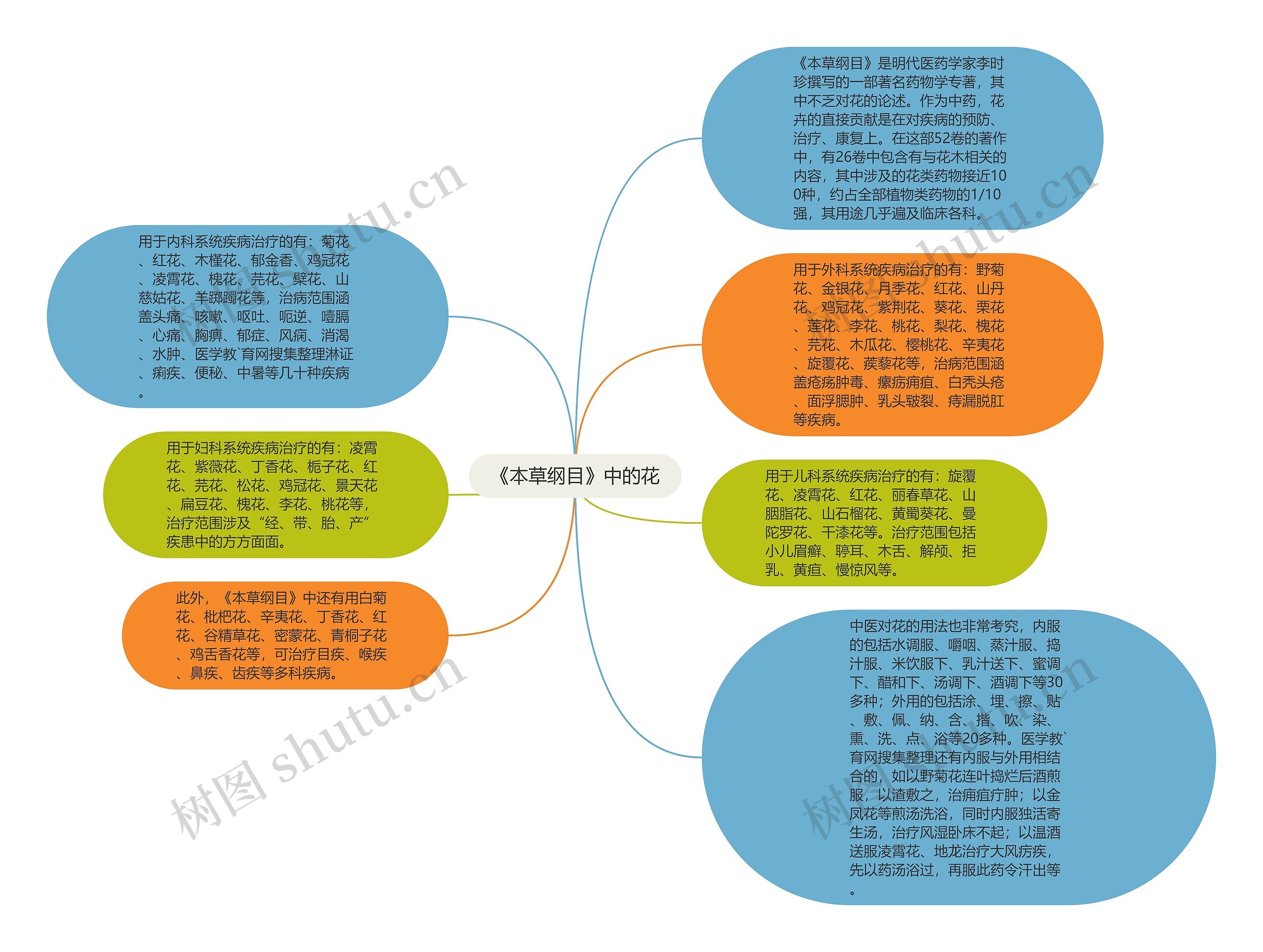 《本草纲目》中的花思维导图