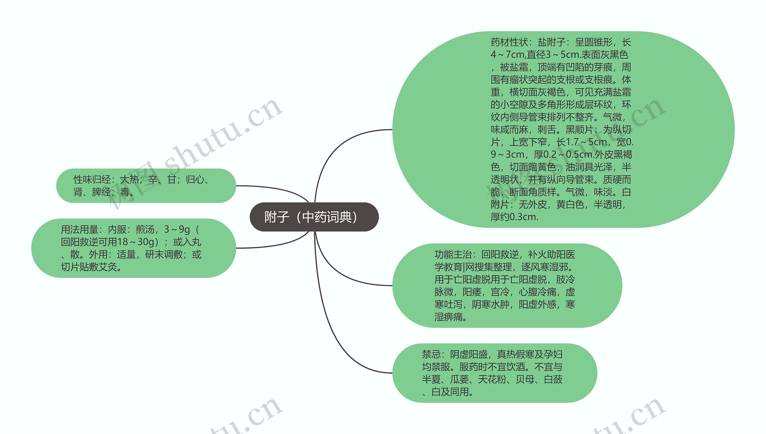 附子（中药词典）思维导图