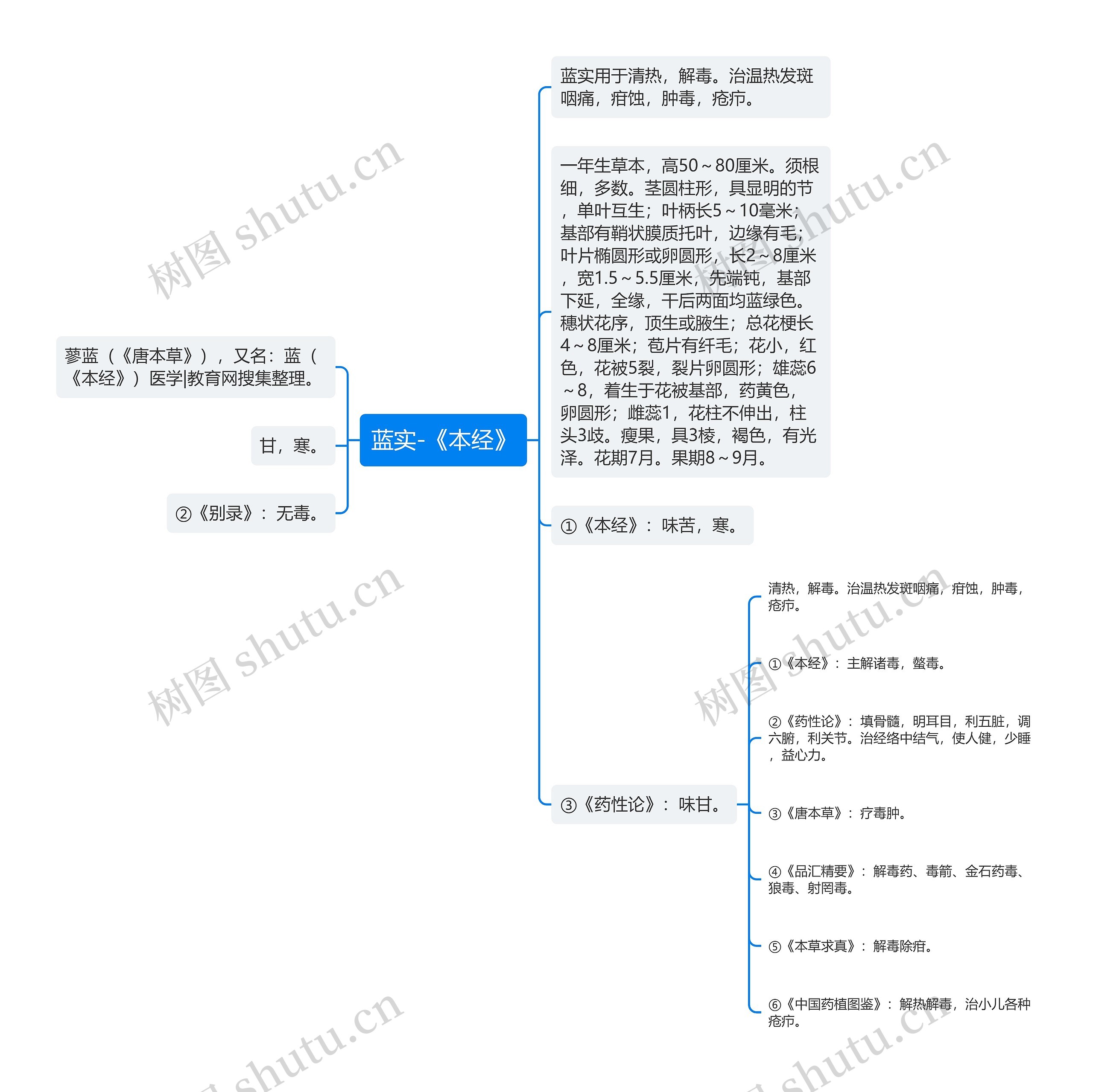 蓝实-《本经》思维导图