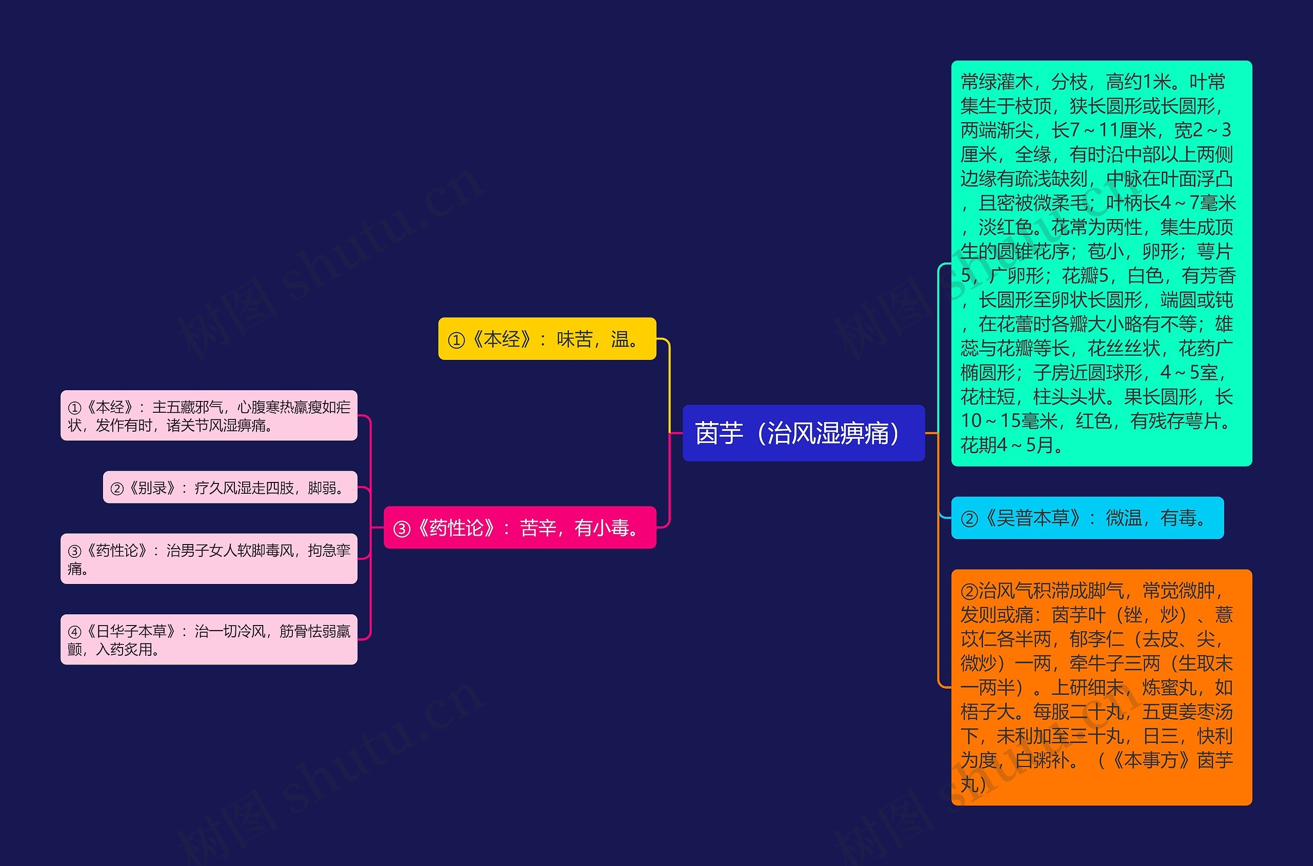 茵芋（治风湿痹痛）思维导图