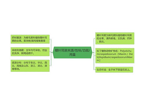 鞭叶耳蕨来源/性味/功能/用量