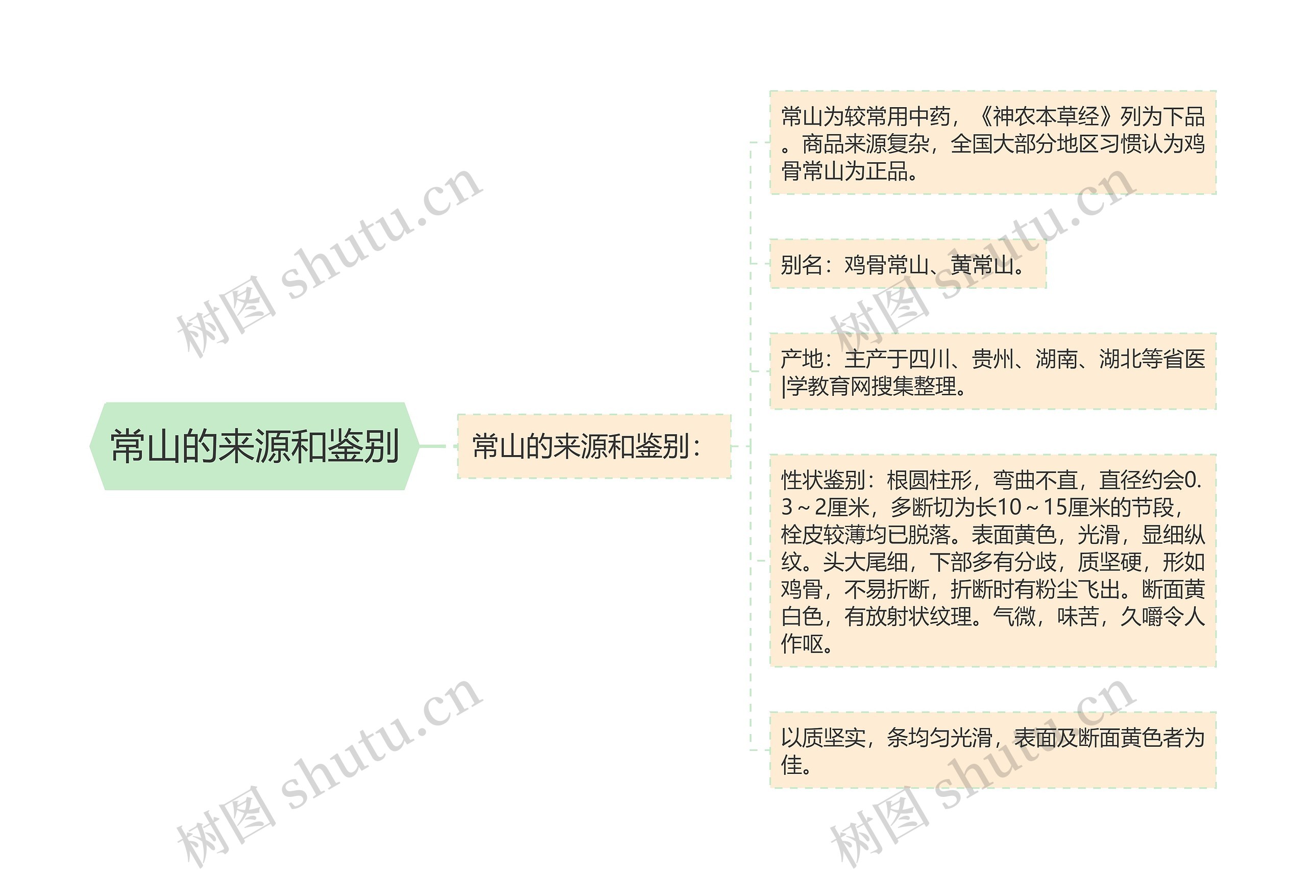 常山的来源和鉴别思维导图