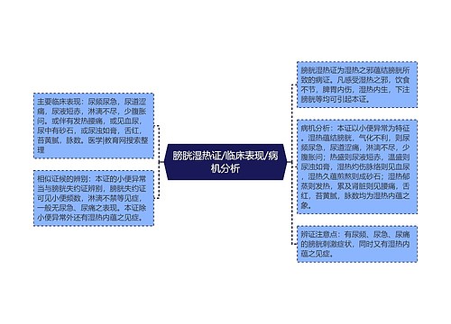 膀胱湿热证/临床表现/病机分析