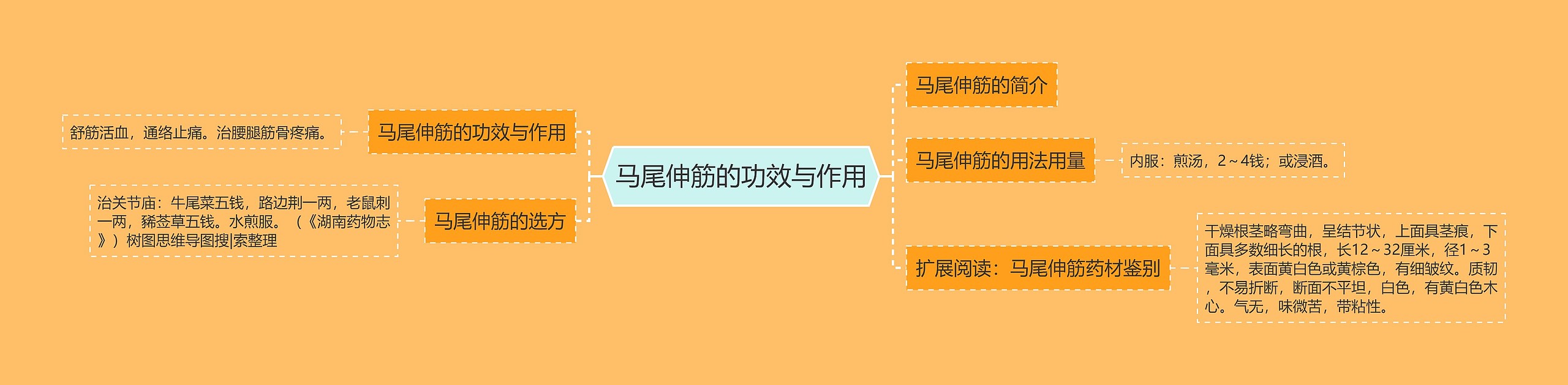马尾伸筋的功效与作用 马尾伸筋的功效与作用