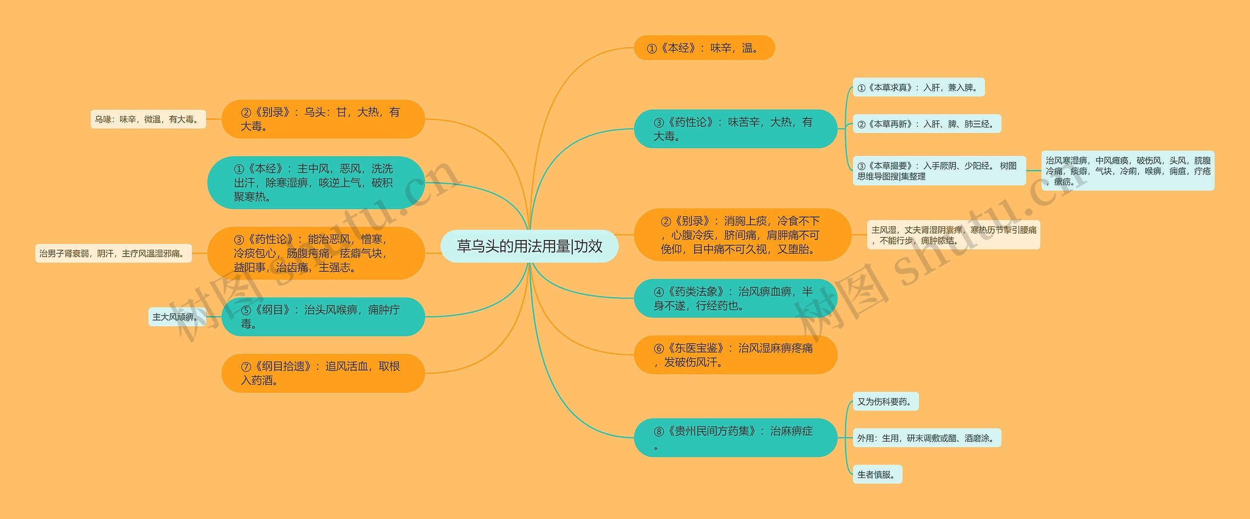 草乌头的用法用量|功效思维导图