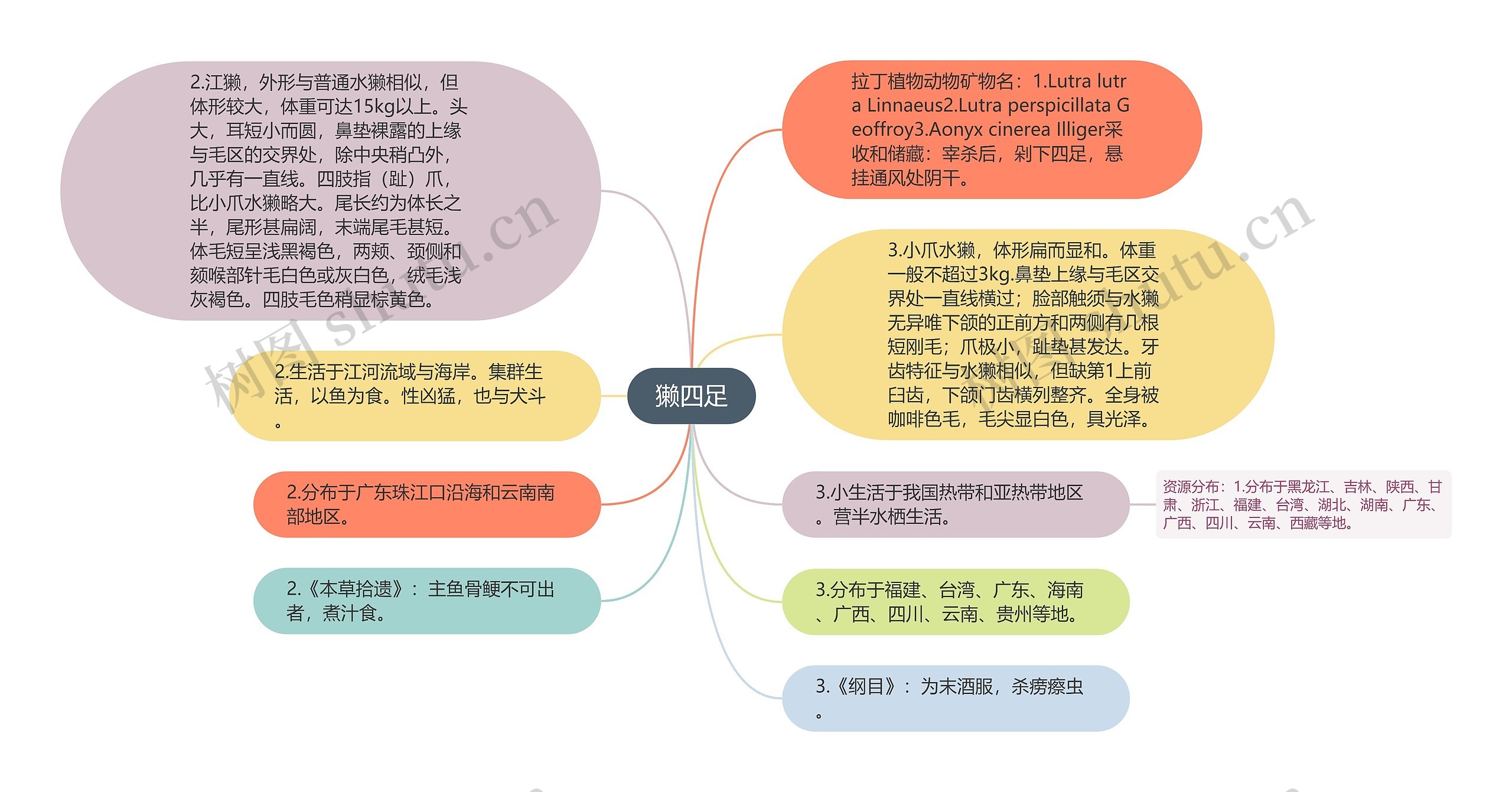 獭四足思维导图