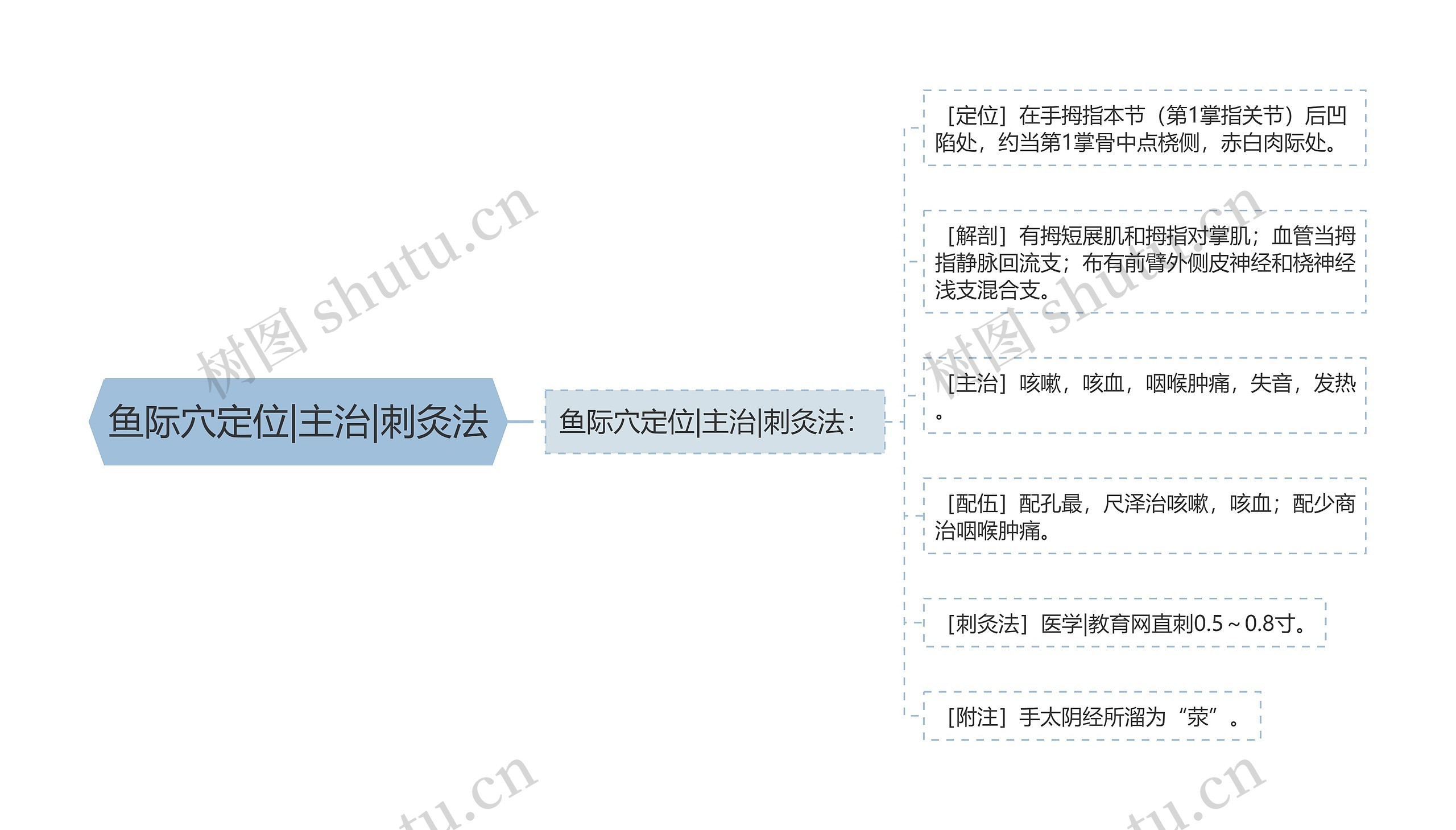 鱼际穴定位|主治|刺灸法思维导图