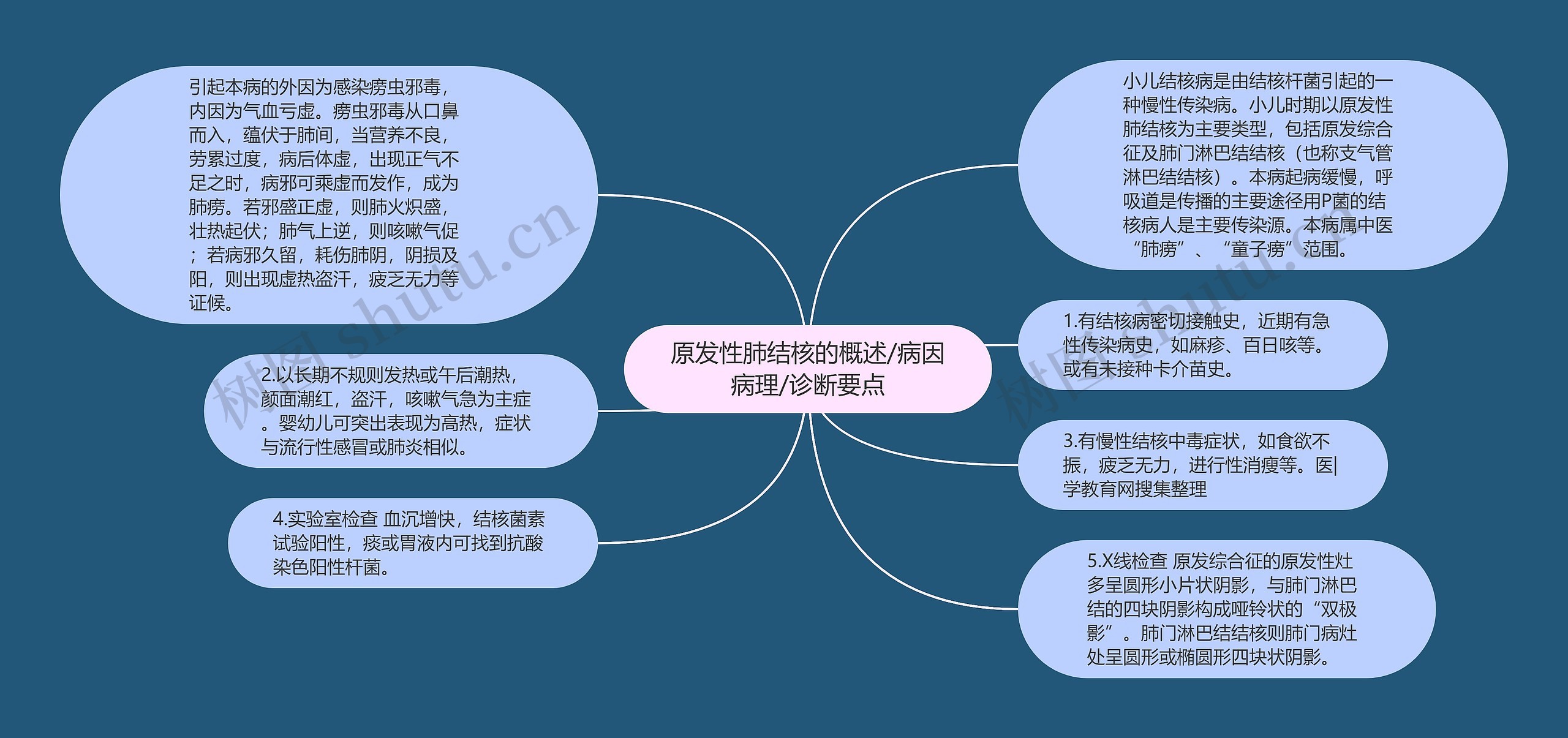 原发性肺结核的概述/病因病理/诊断要点思维导图